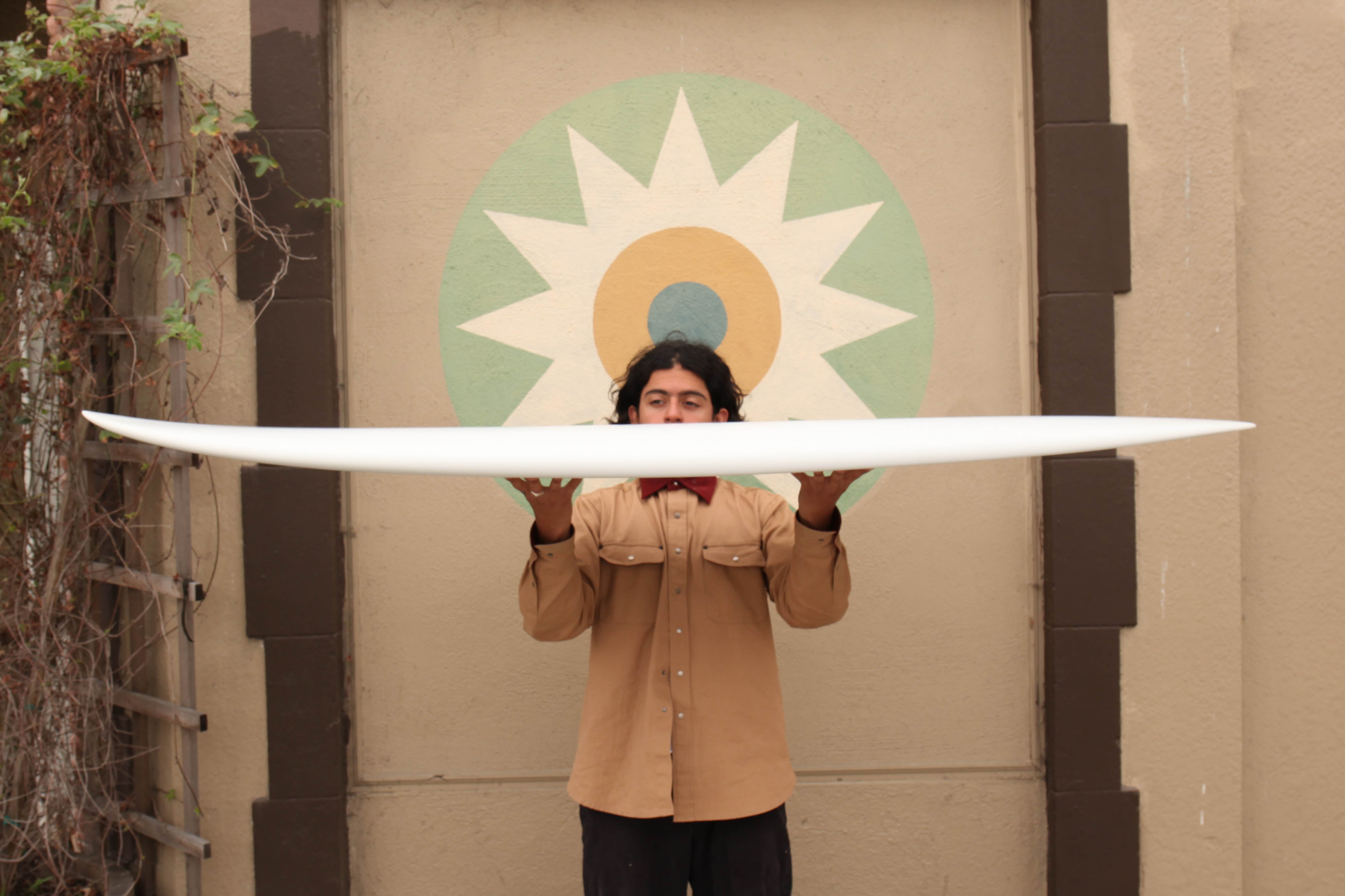 6'6 Furrow Radii - Mollusk Surf Shop