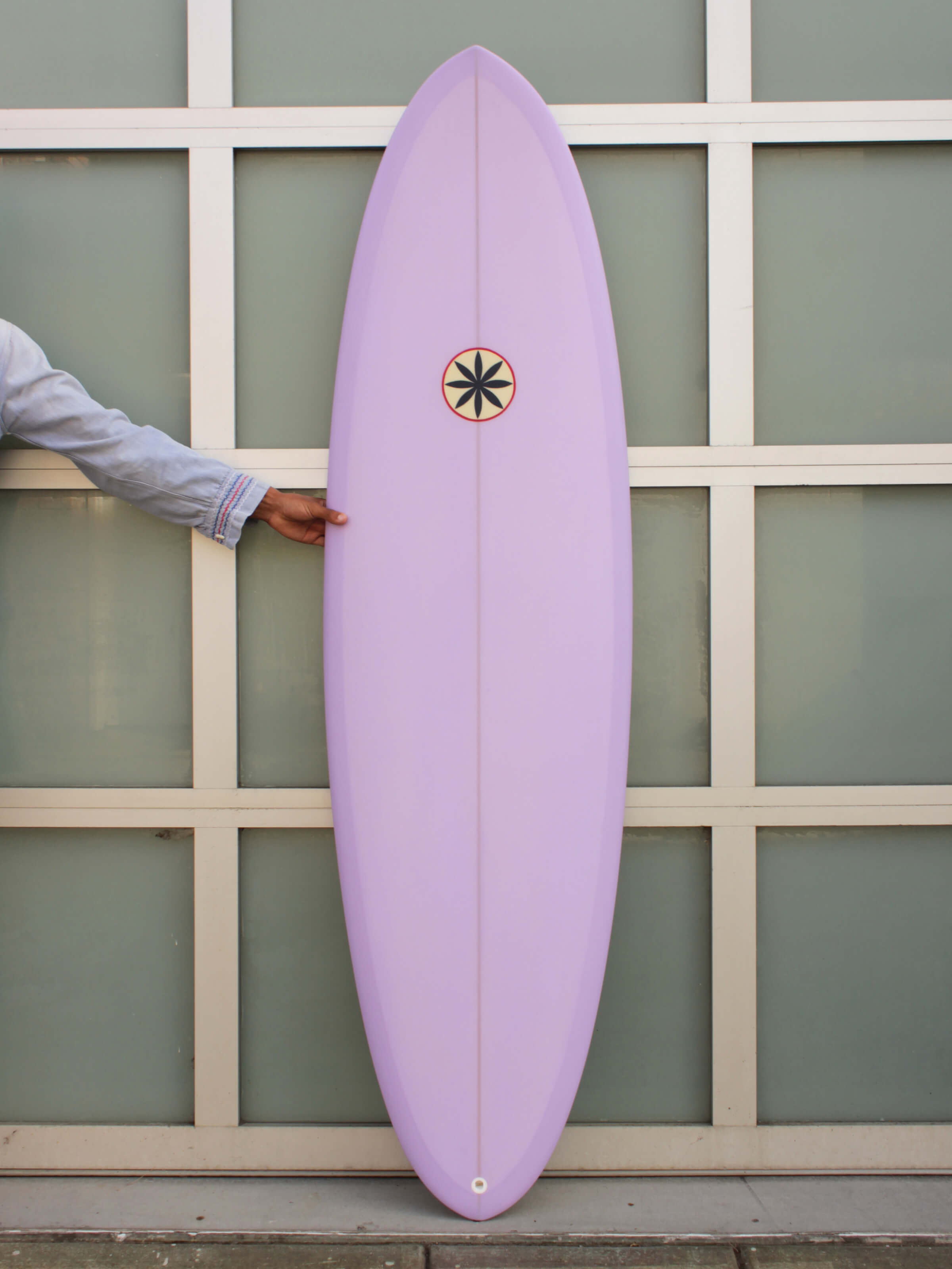 6'6 Hanel Astro Egg - Mollusk Surf Shop
