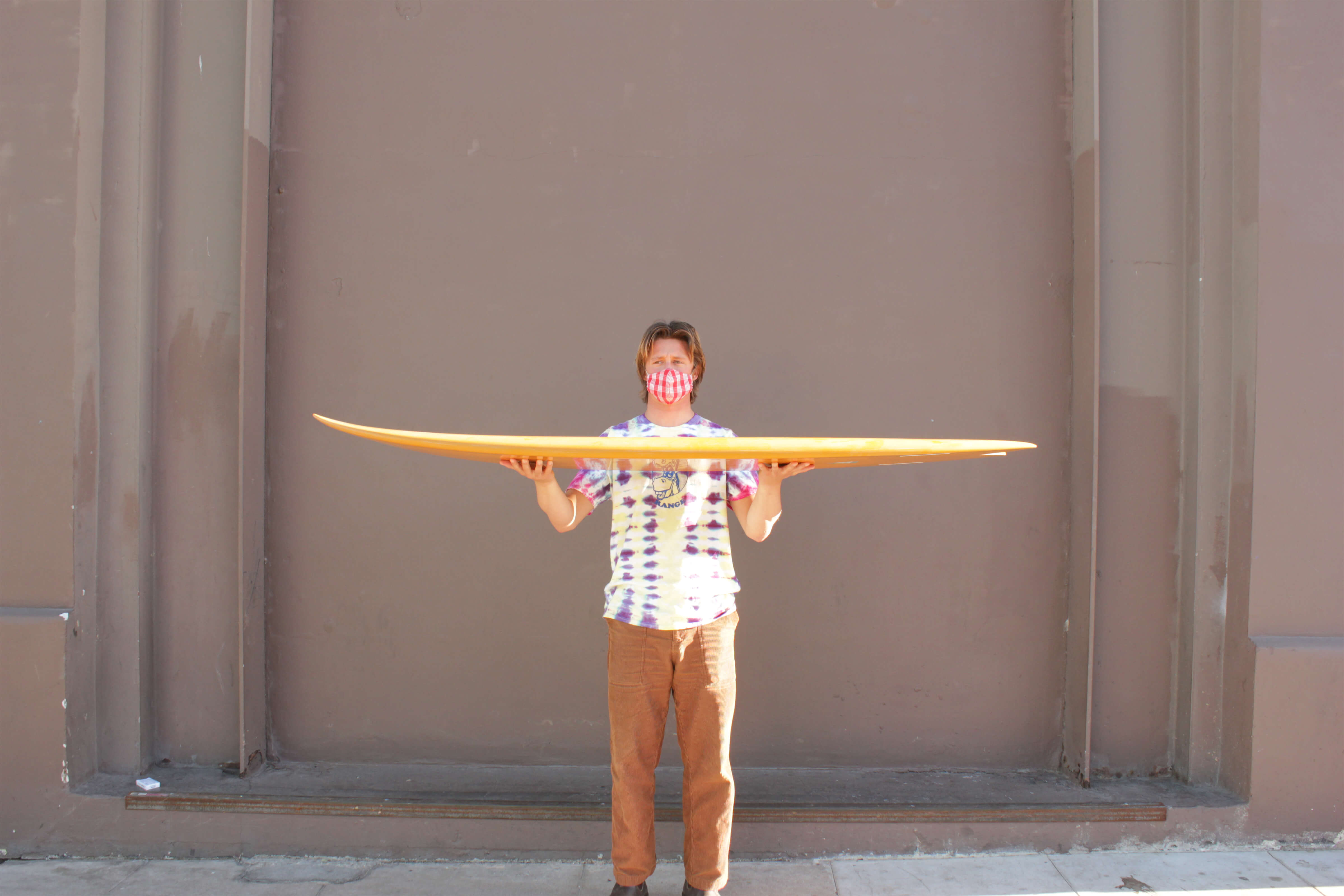 6'6 Hanel C Fish - Mollusk Surf Shop