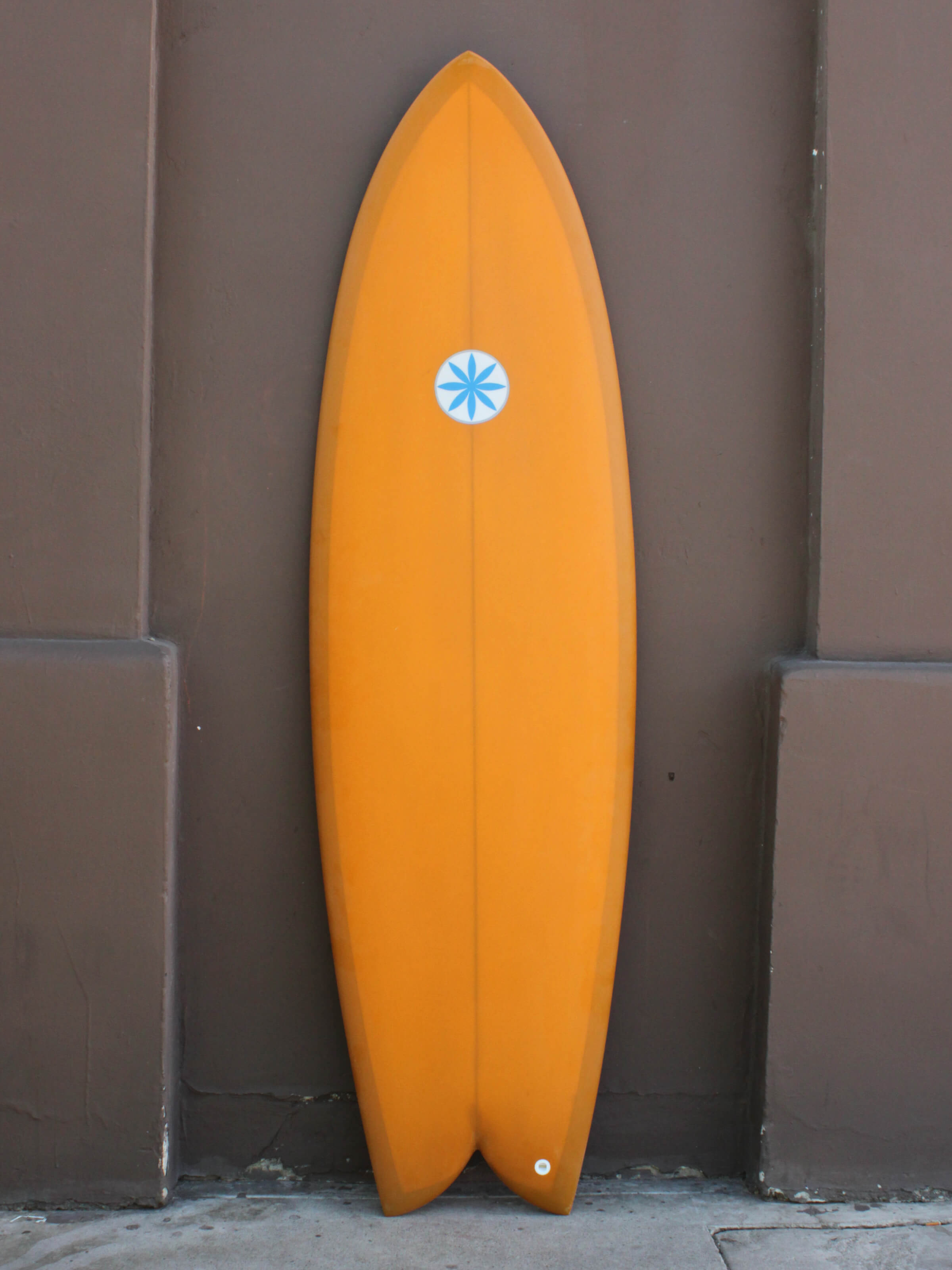 6'6 Hanel C Fish - Mollusk Surf Shop