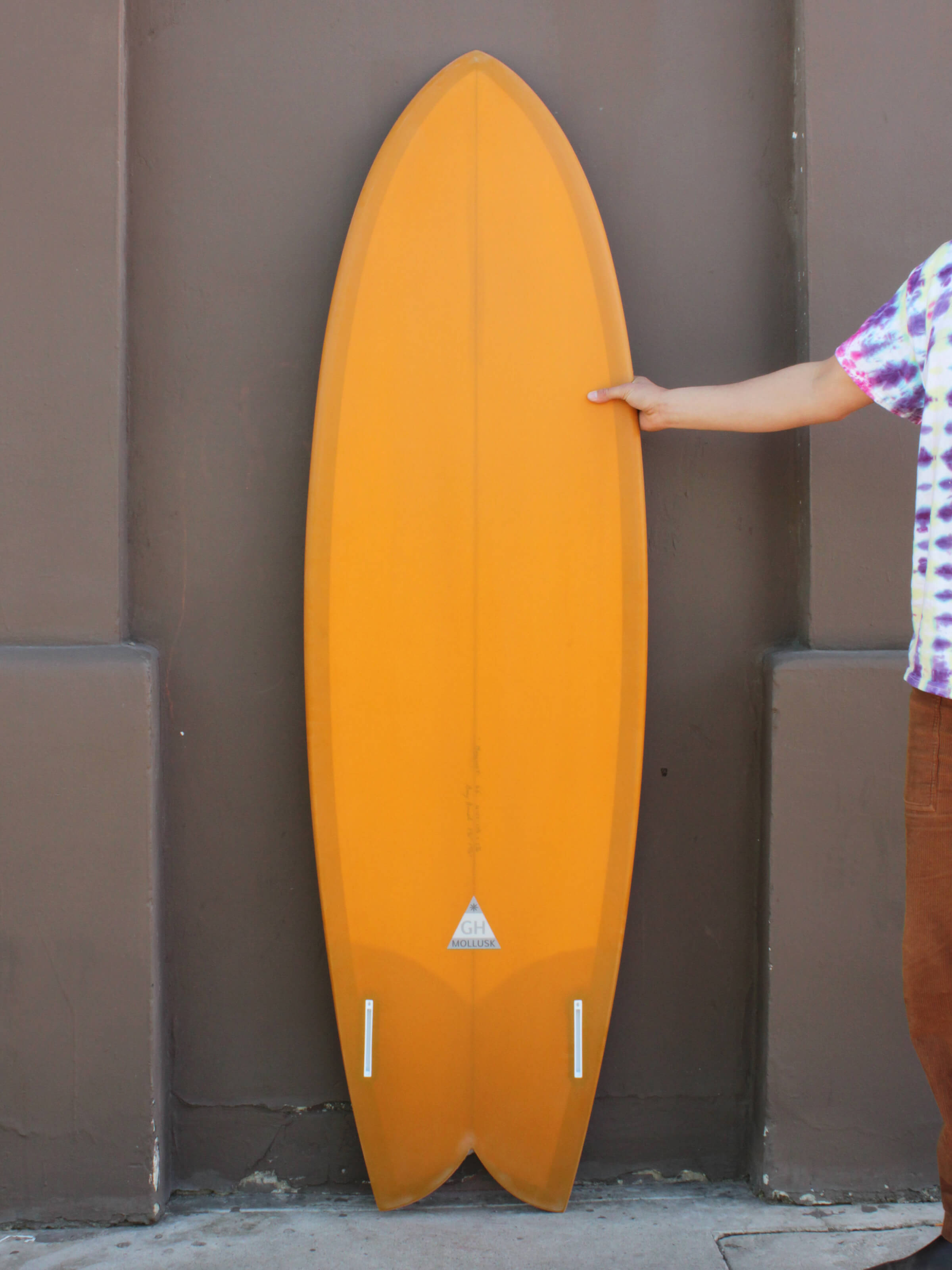 6'6 Hanel C Fish - Mollusk Surf Shop