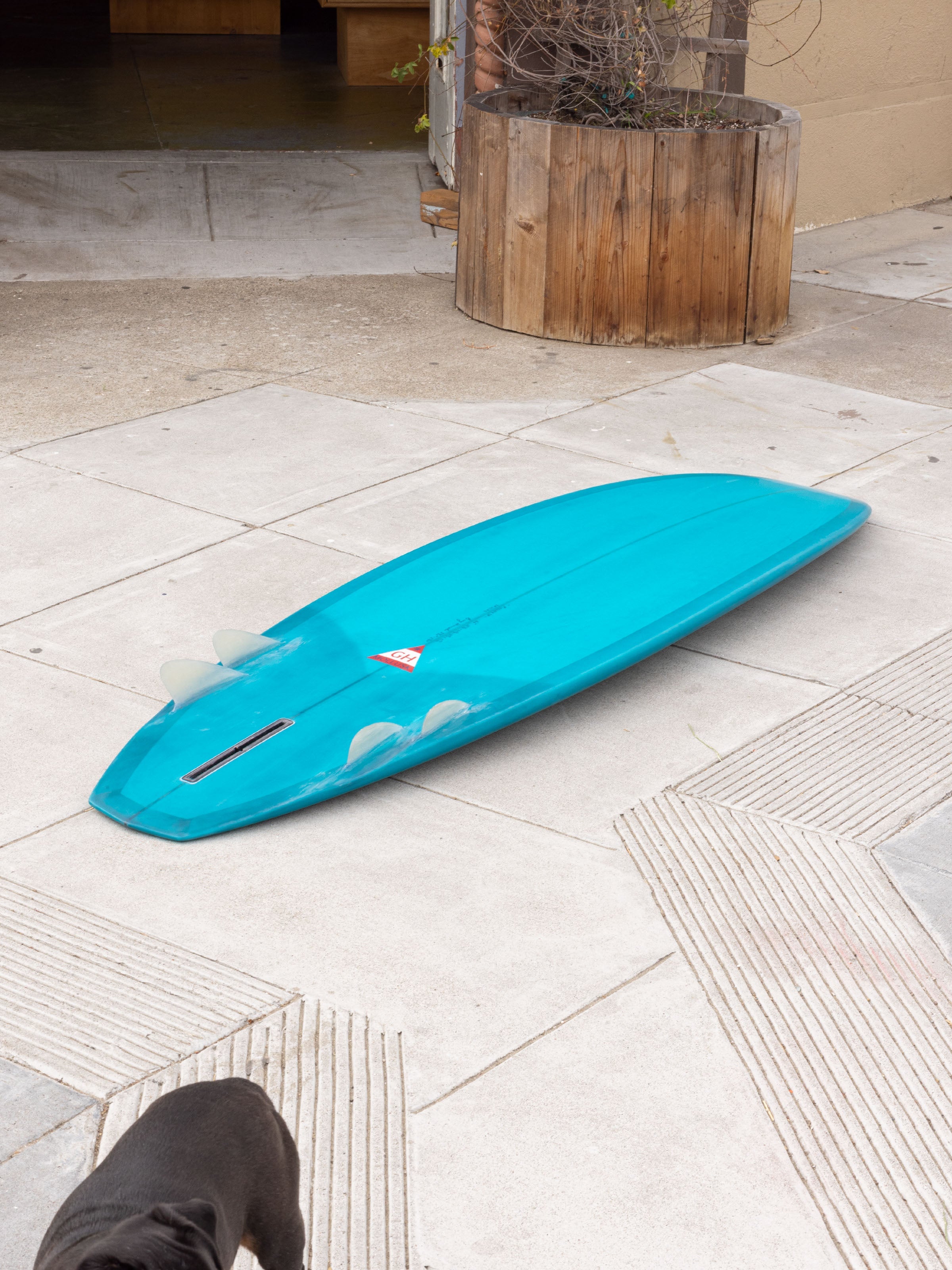 6'6 Hanel Diamond Tail Bonzer - Mollusk Surf Shop