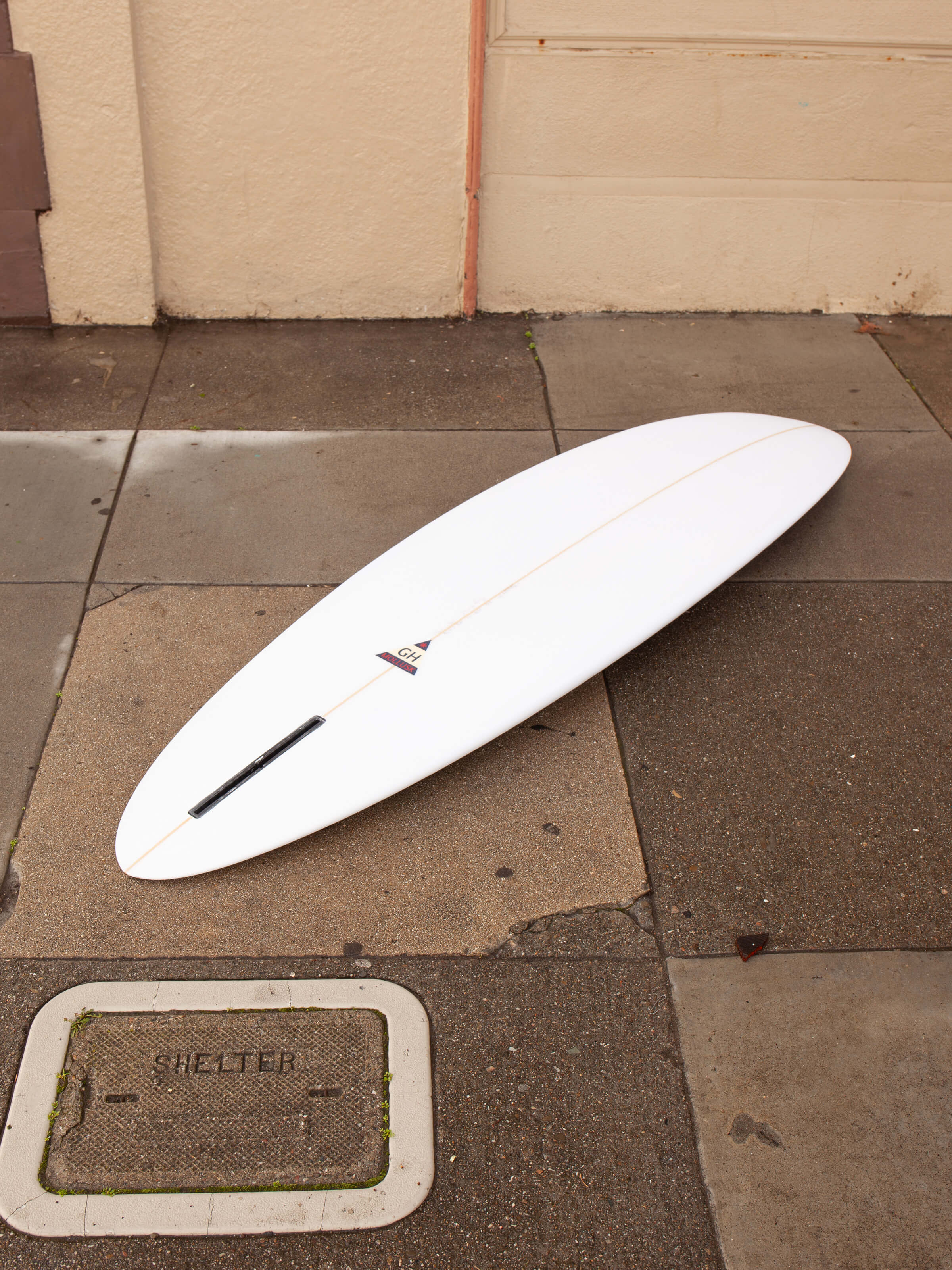 6'6 Hanel Egg - Mollusk Surf Shop
