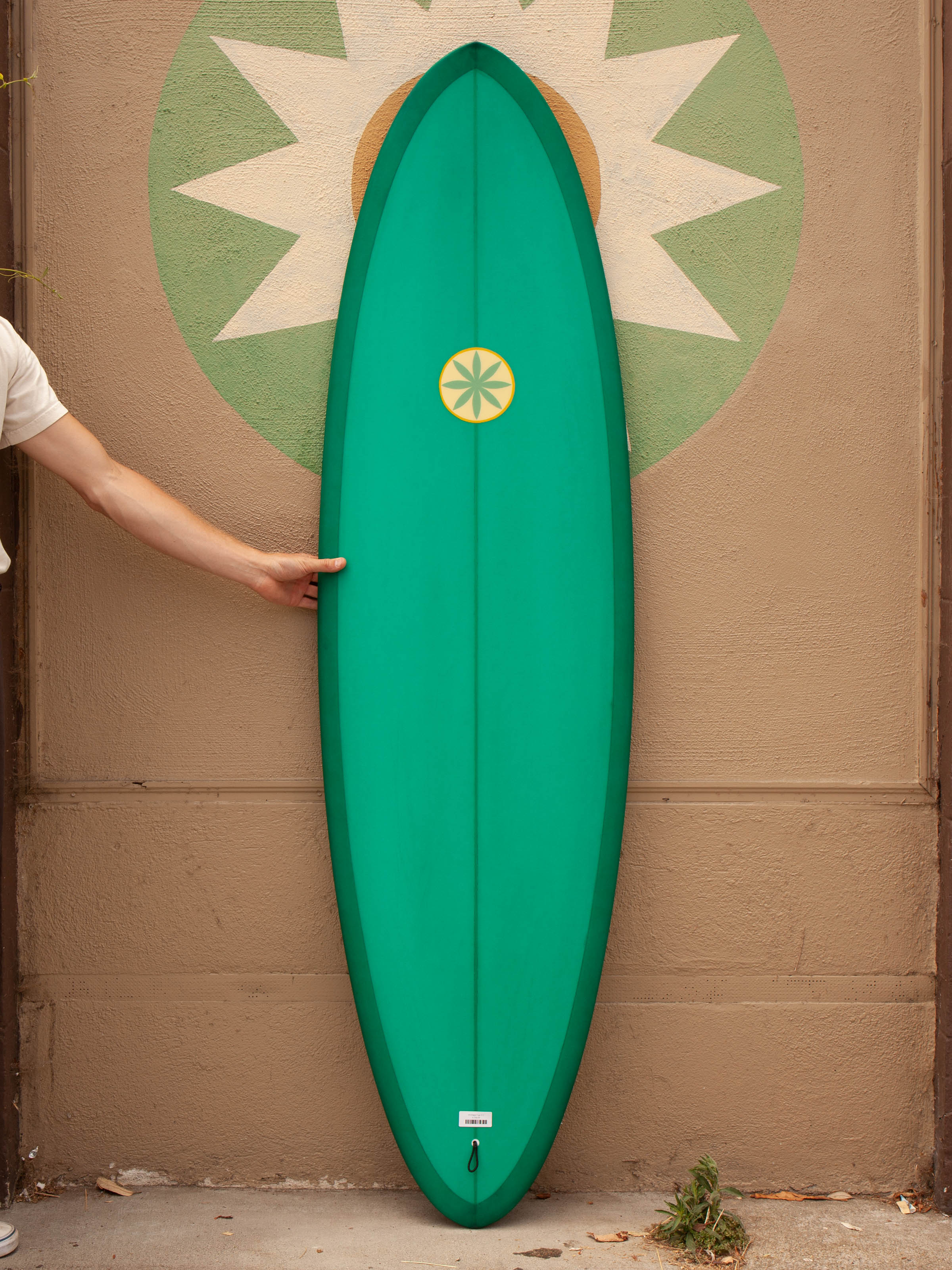 6'6 Hanel Egg 2+1 - Mollusk Surf Shop