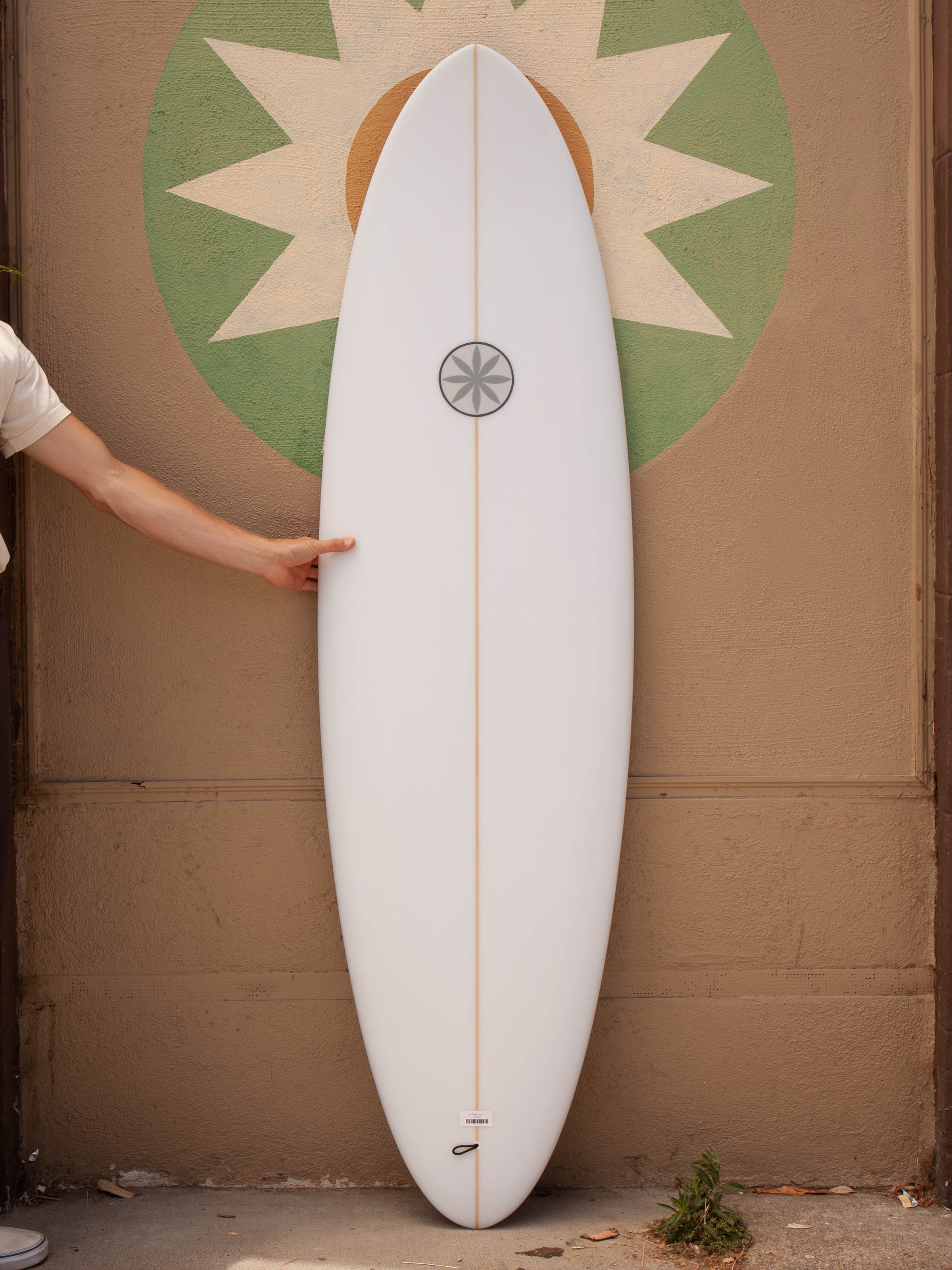 6'6 Hanel Egg 2+1 - Mollusk Surf Shop