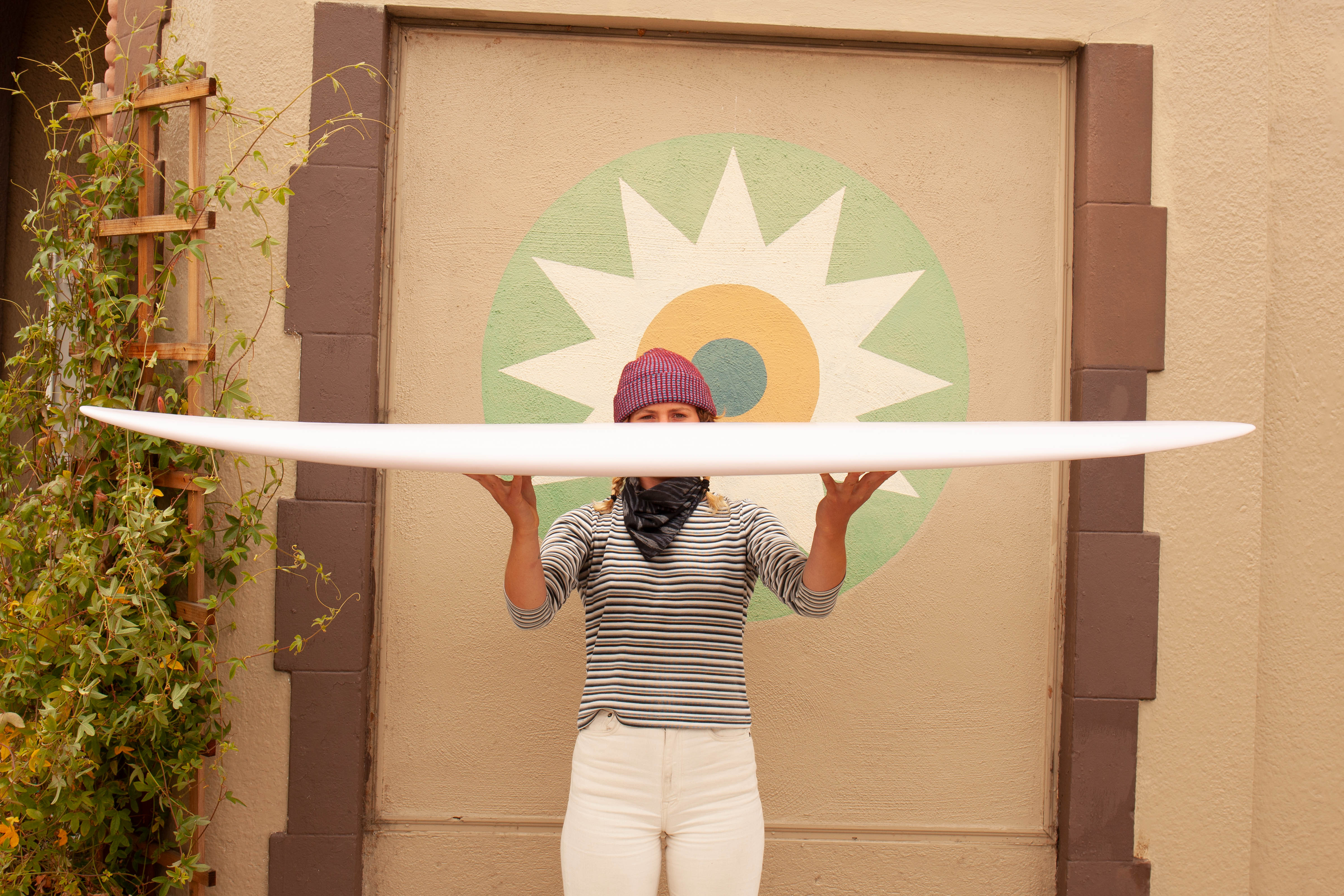 6'6 Jive Lifter - Mollusk Surf Shop