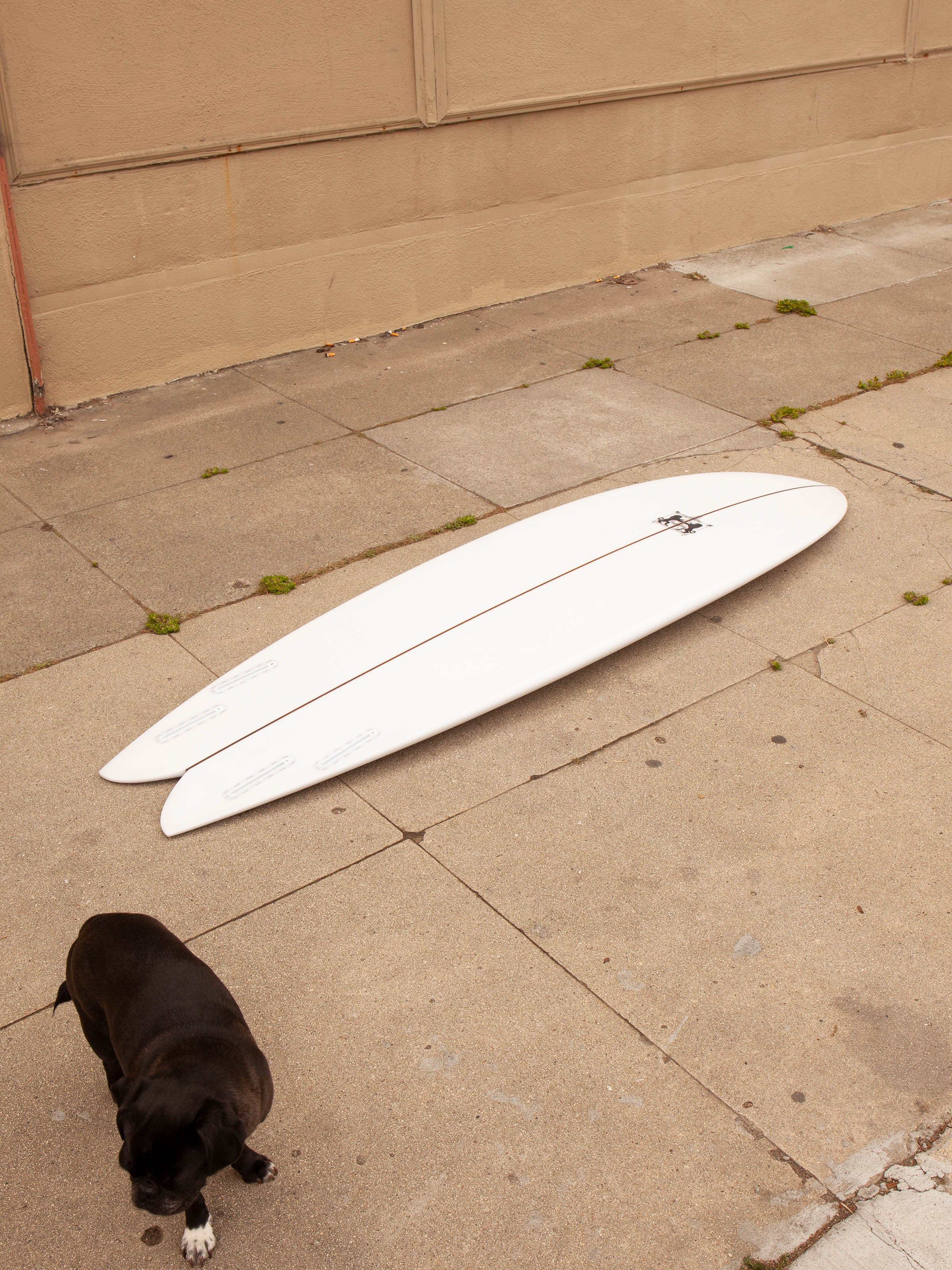 6'6 Mabile Quad Fish - Mollusk Surf Shop