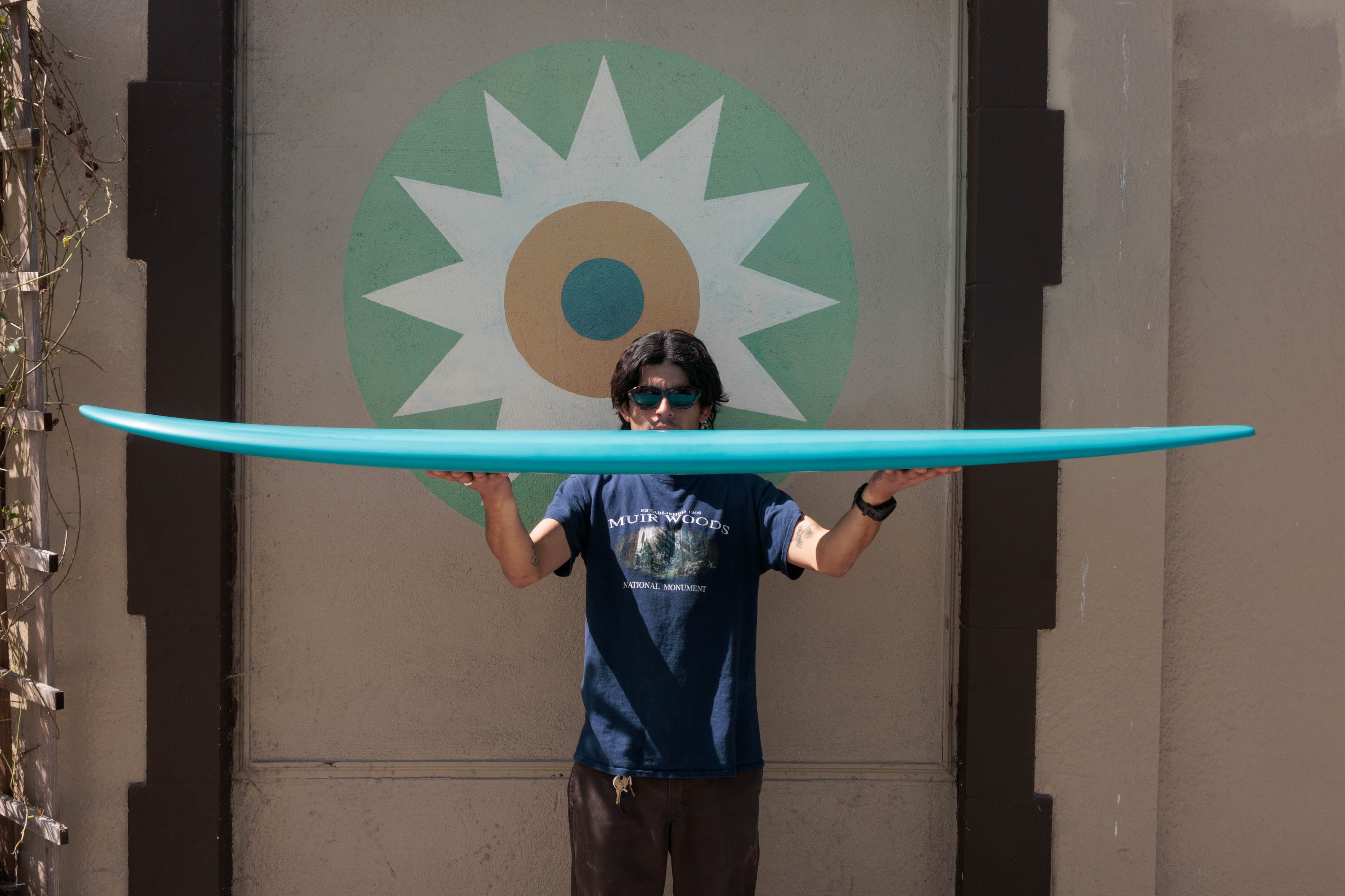 6'6 Mitsven Diamond Tail Egg - Mollusk Surf Shop