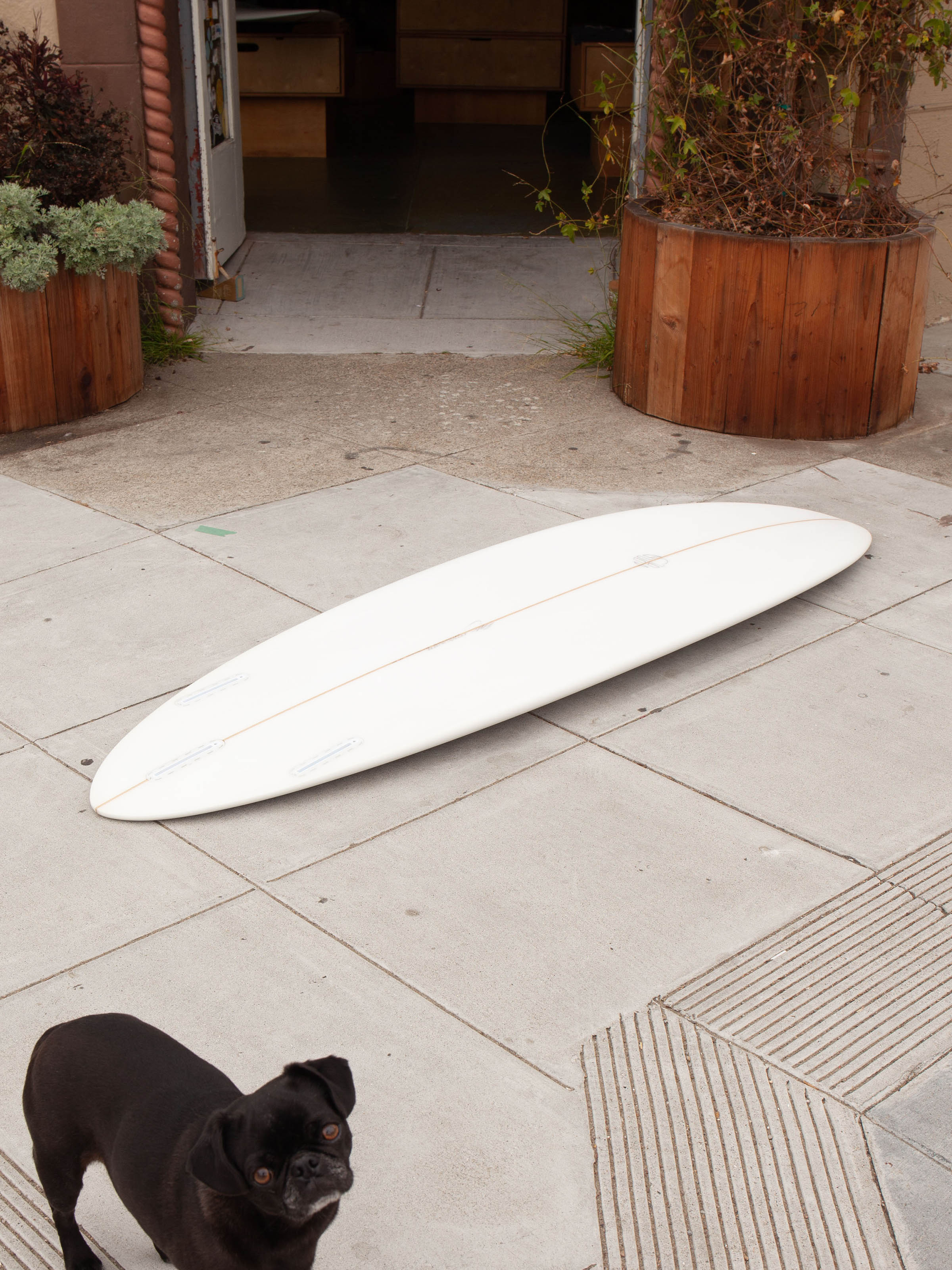 6'6 Mitsven Egg - Mollusk Surf Shop