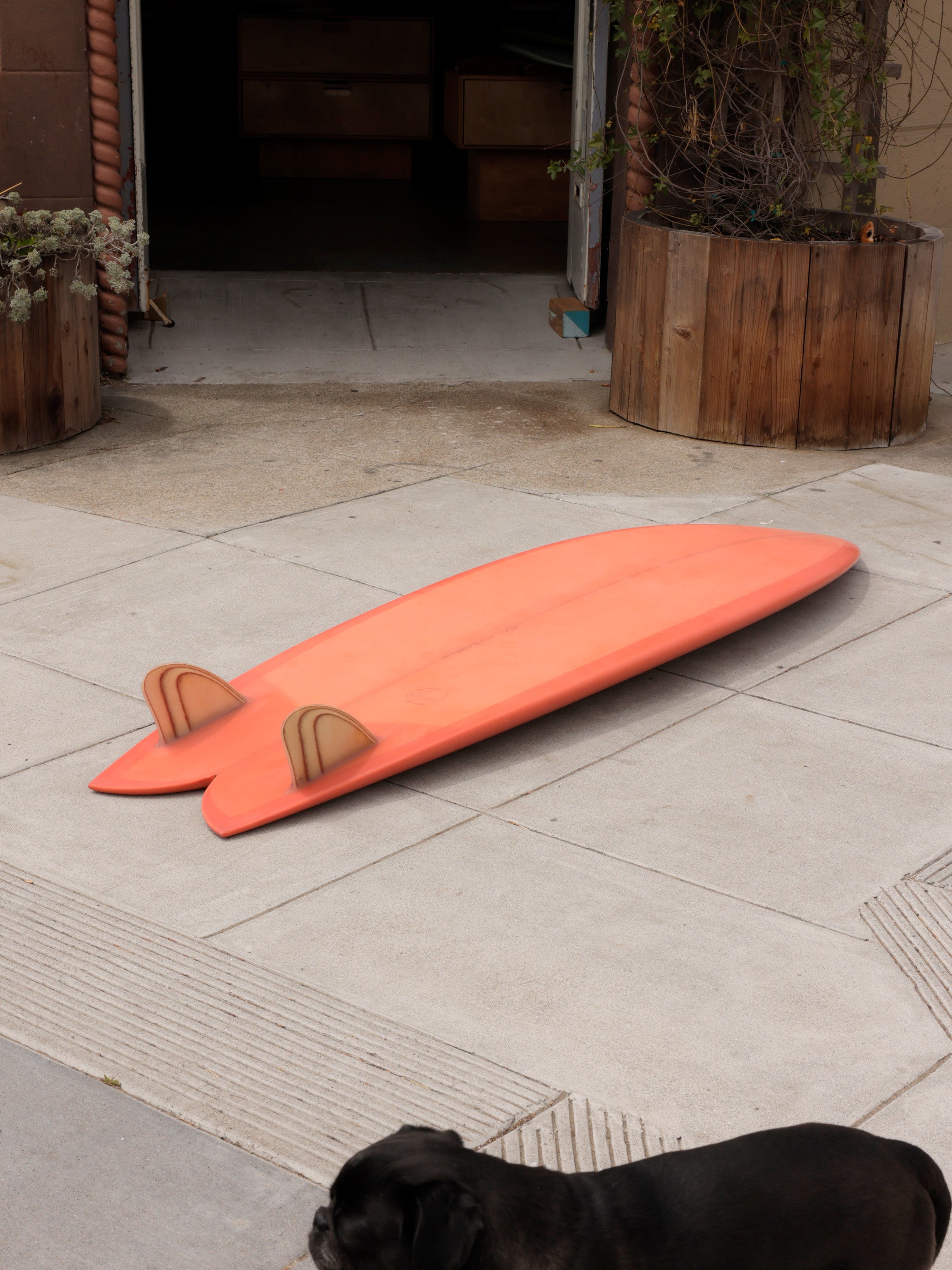 6'6 Mitsven Fish - Mollusk Surf Shop