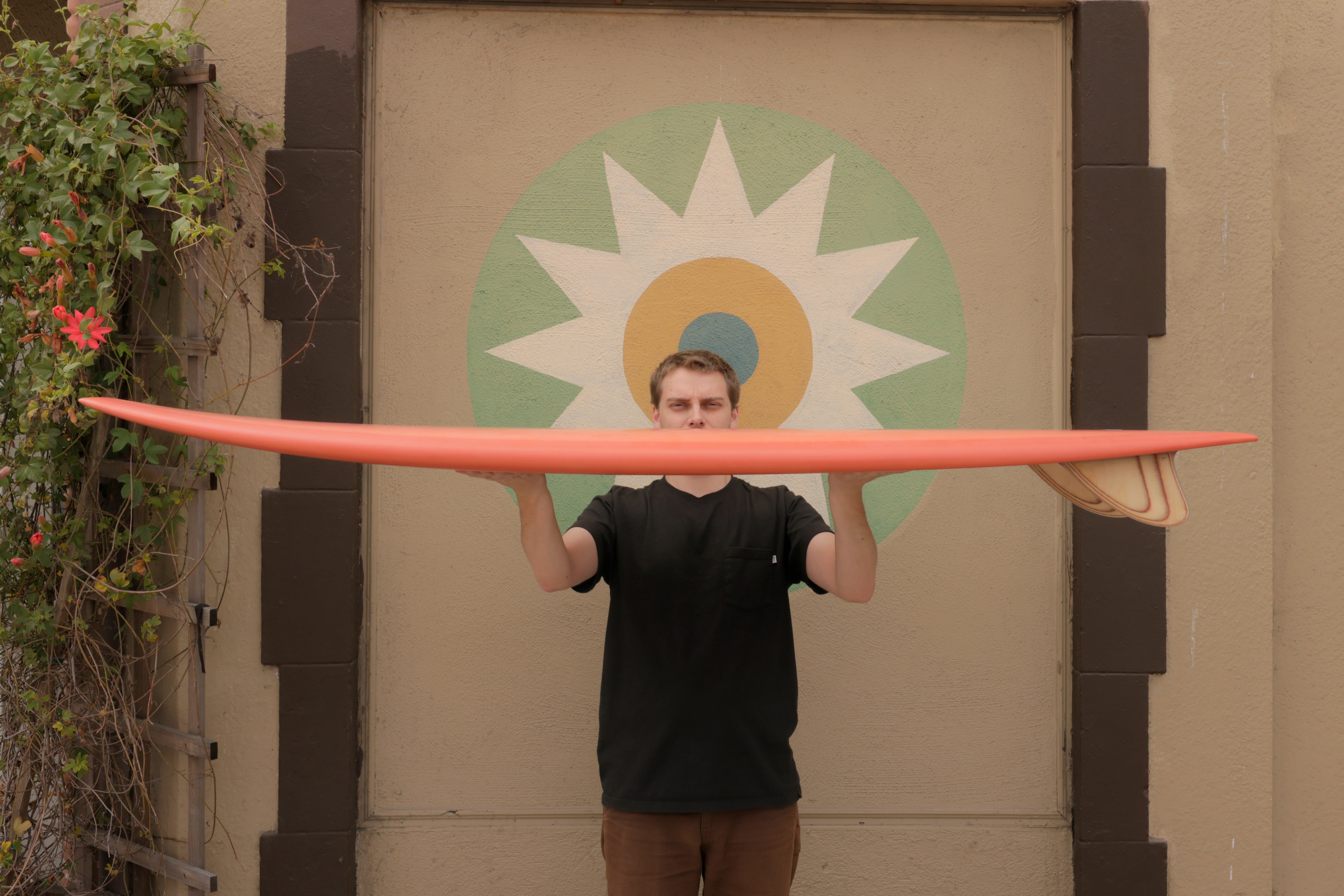 6'6 Mitsven Fish - Mollusk Surf Shop