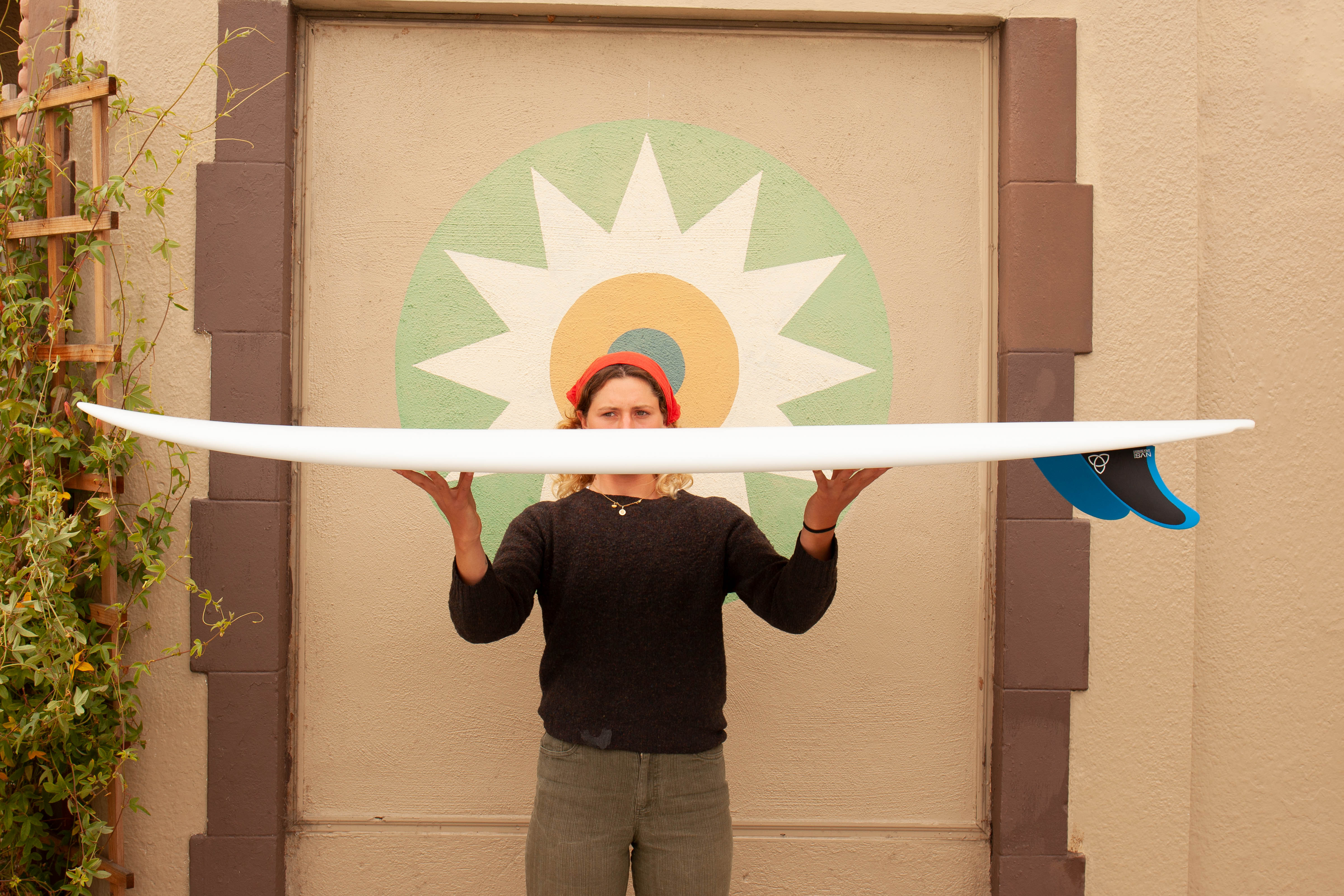 6'6 Mitsven Round Twin - Mollusk Surf Shop