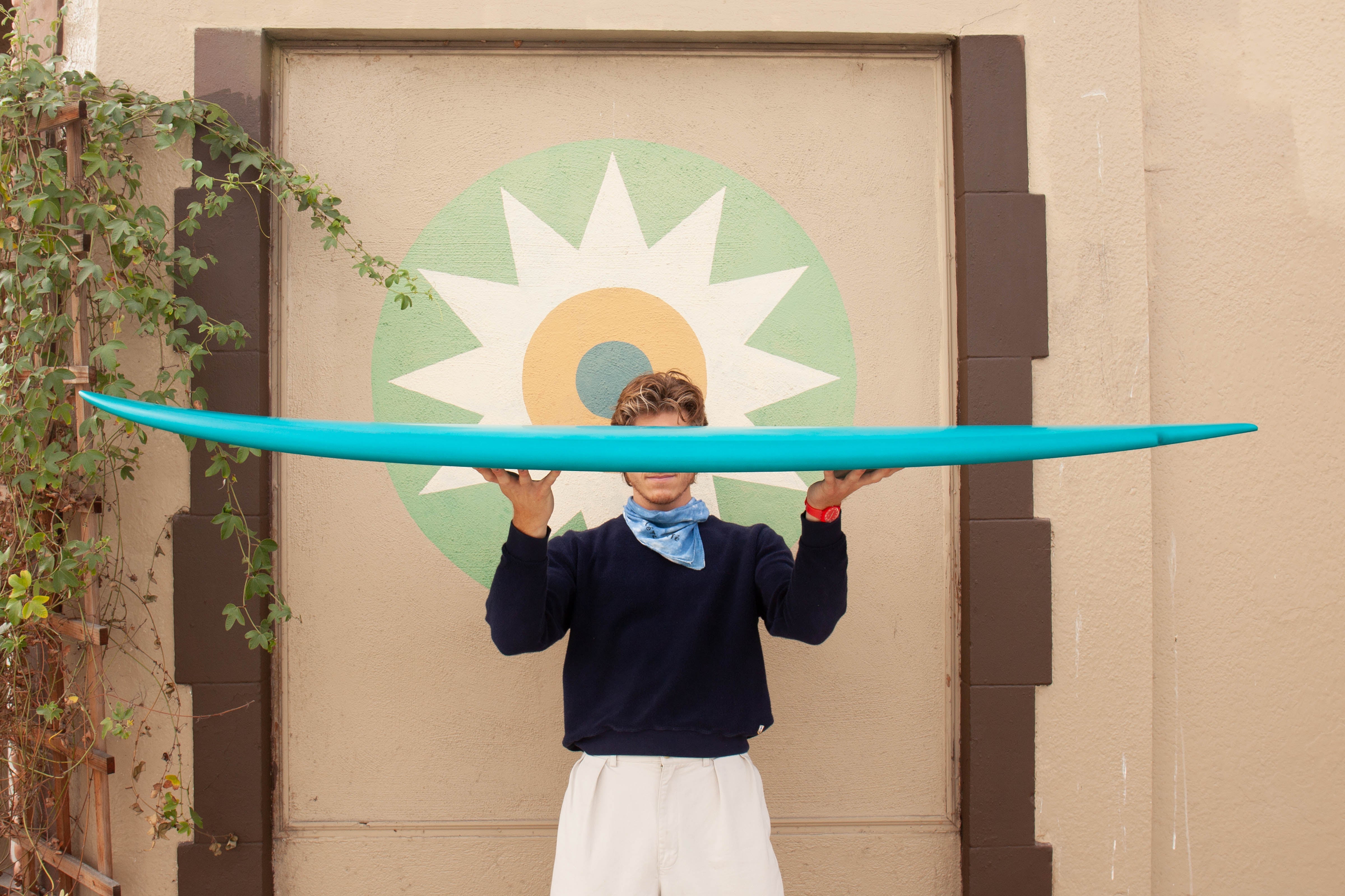 6'6 Mitsven Twinzer Fish - Mollusk Surf Shop