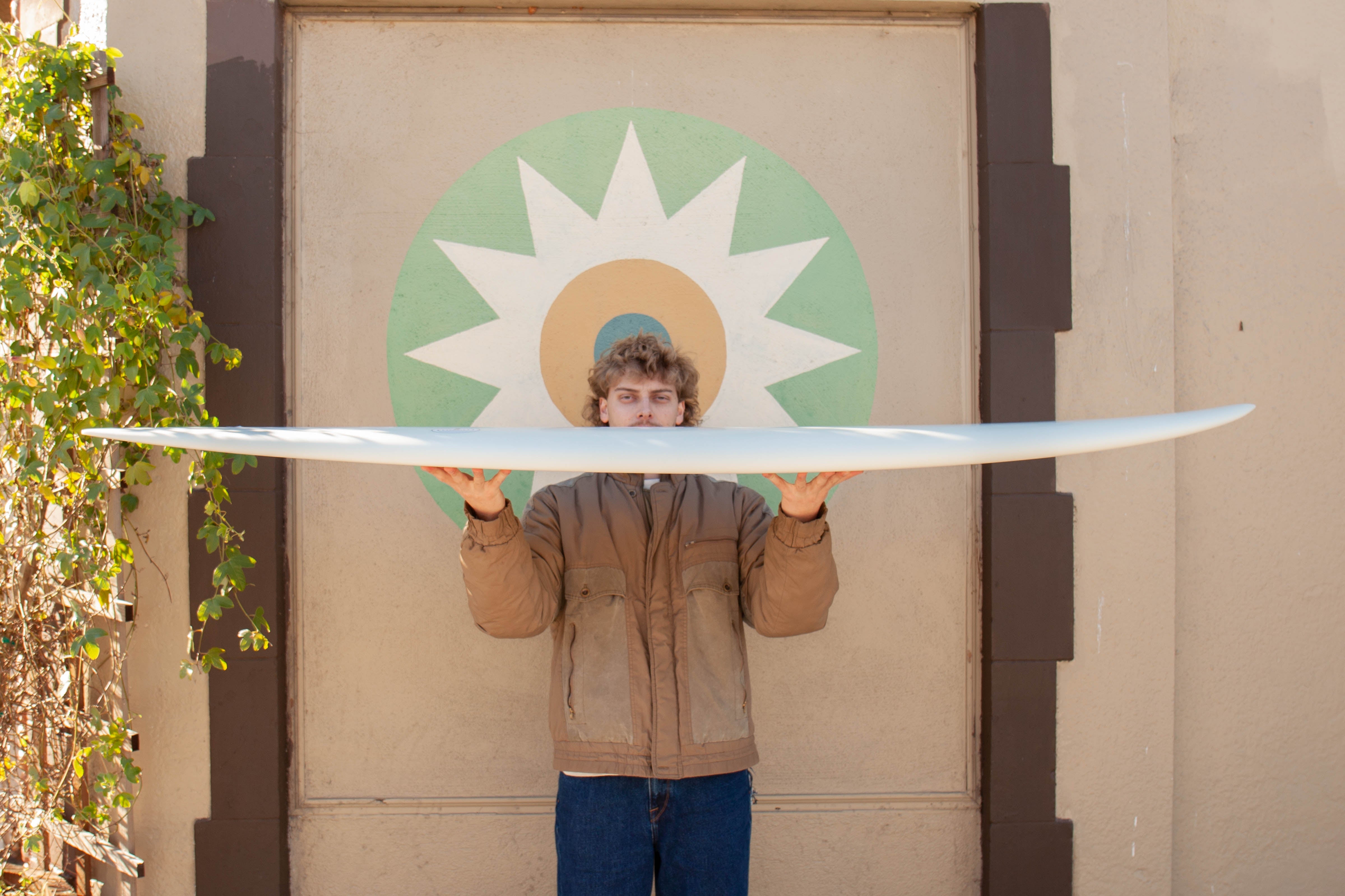 6'6 Radio Classic Fish - Mollusk Surf Shop