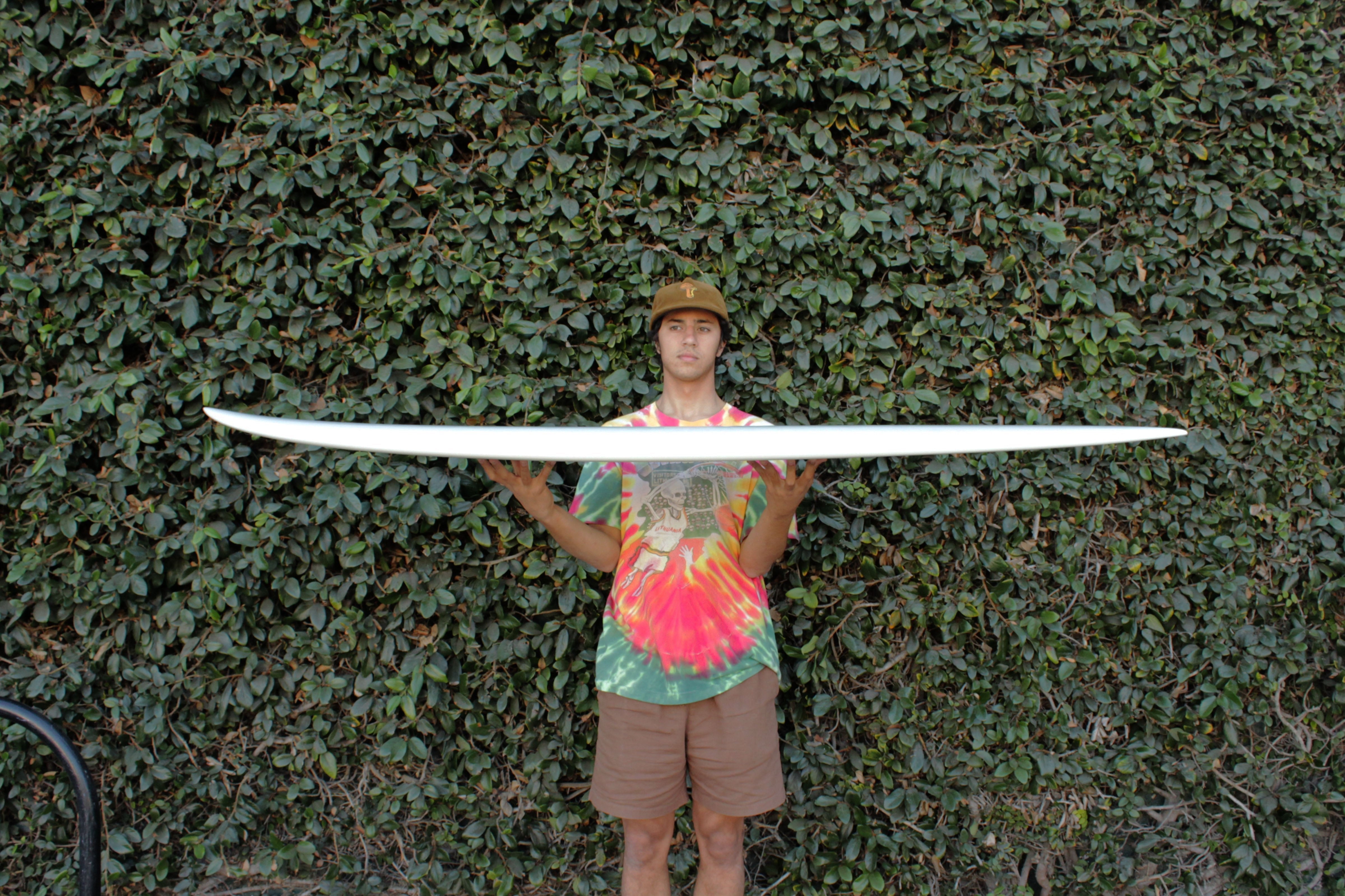6'6 Radio Mid Fish - Mollusk Surf Shop