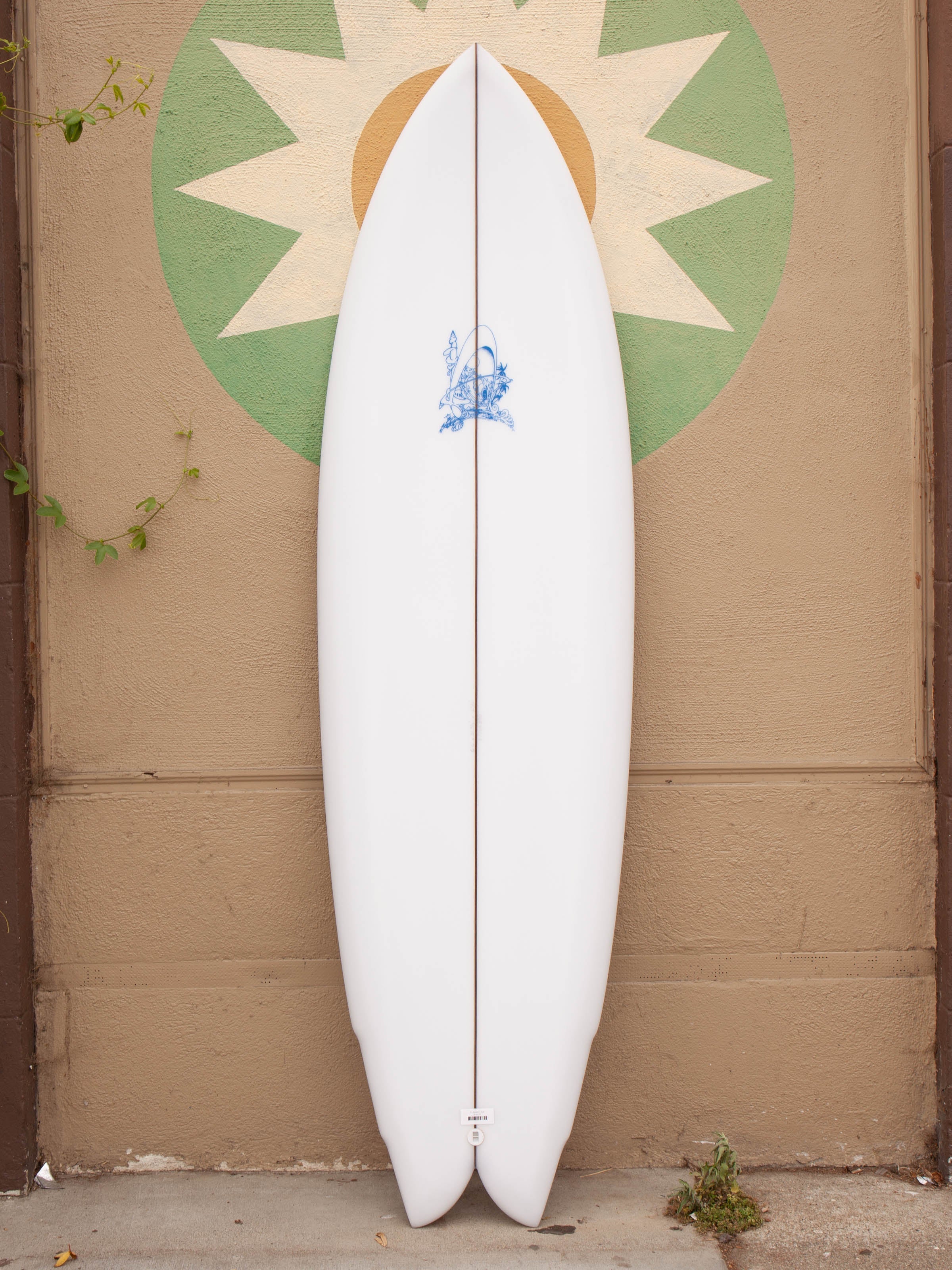 6'6 Rainbow Quad - Mollusk Surf Shop