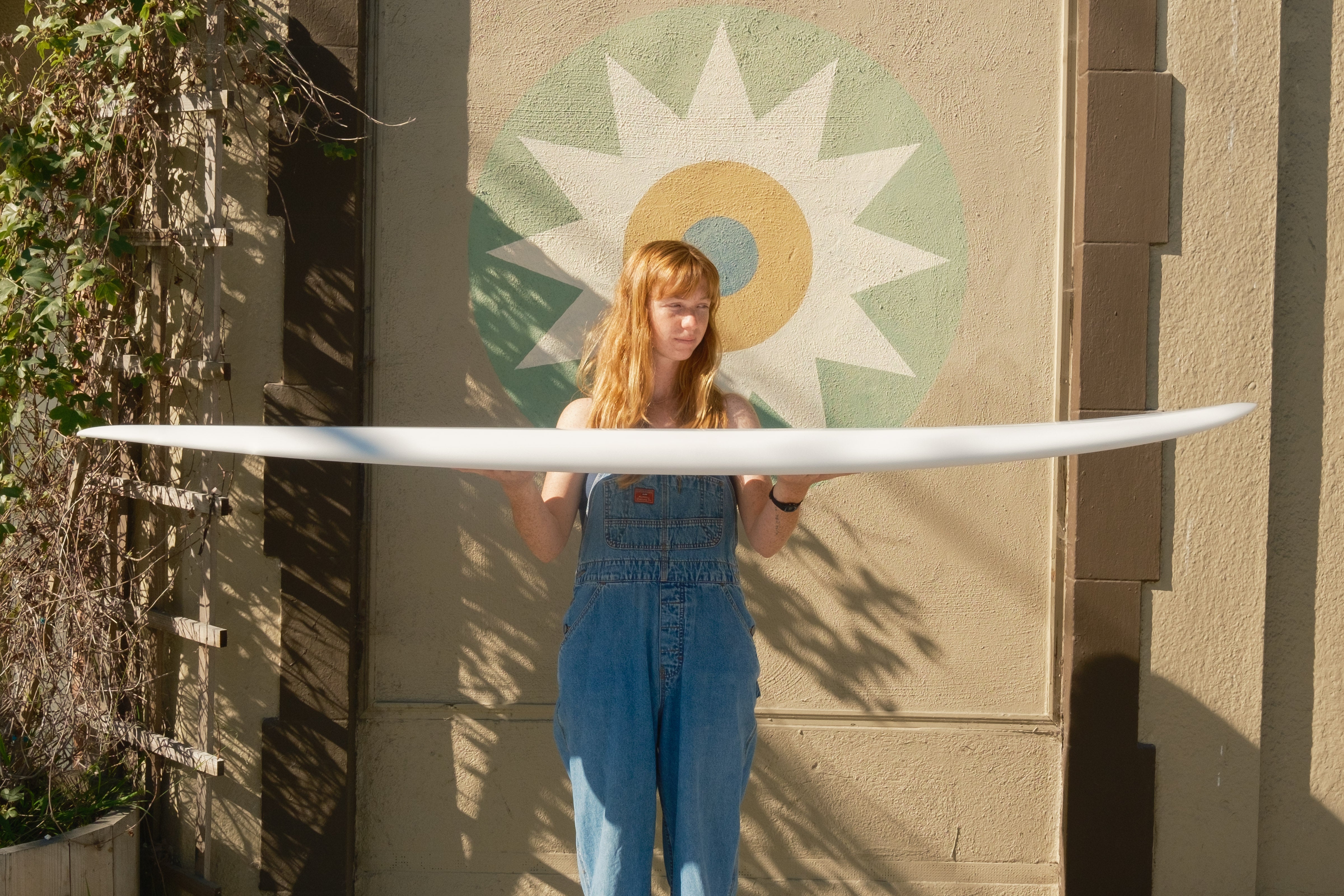 6'6 Rainbow Quad - Mollusk Surf Shop
