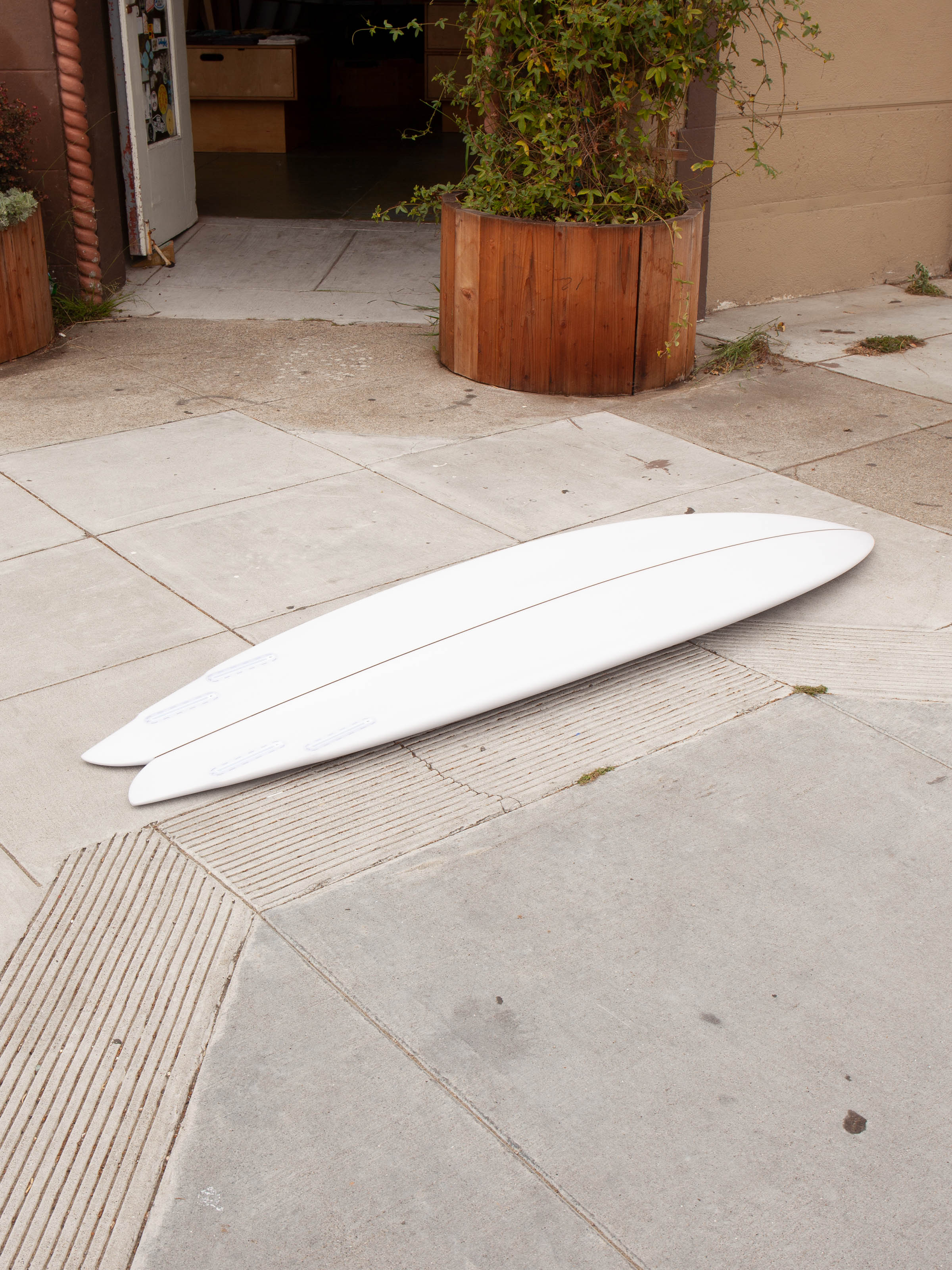6'6 Rainbow Quad - Mollusk Surf Shop