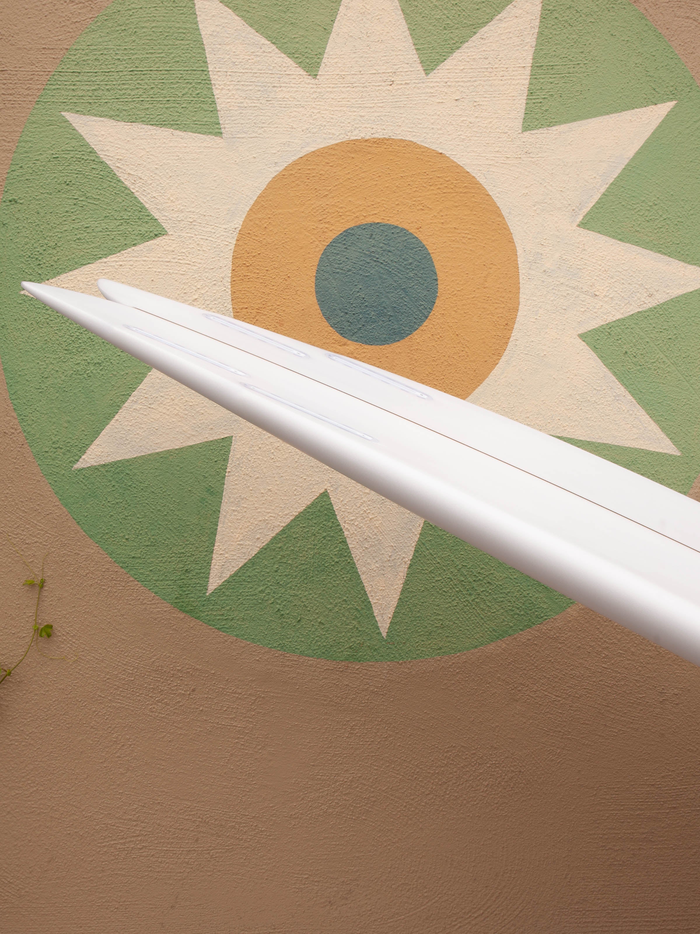 6'6 Rainbow Quad - Mollusk Surf Shop - description