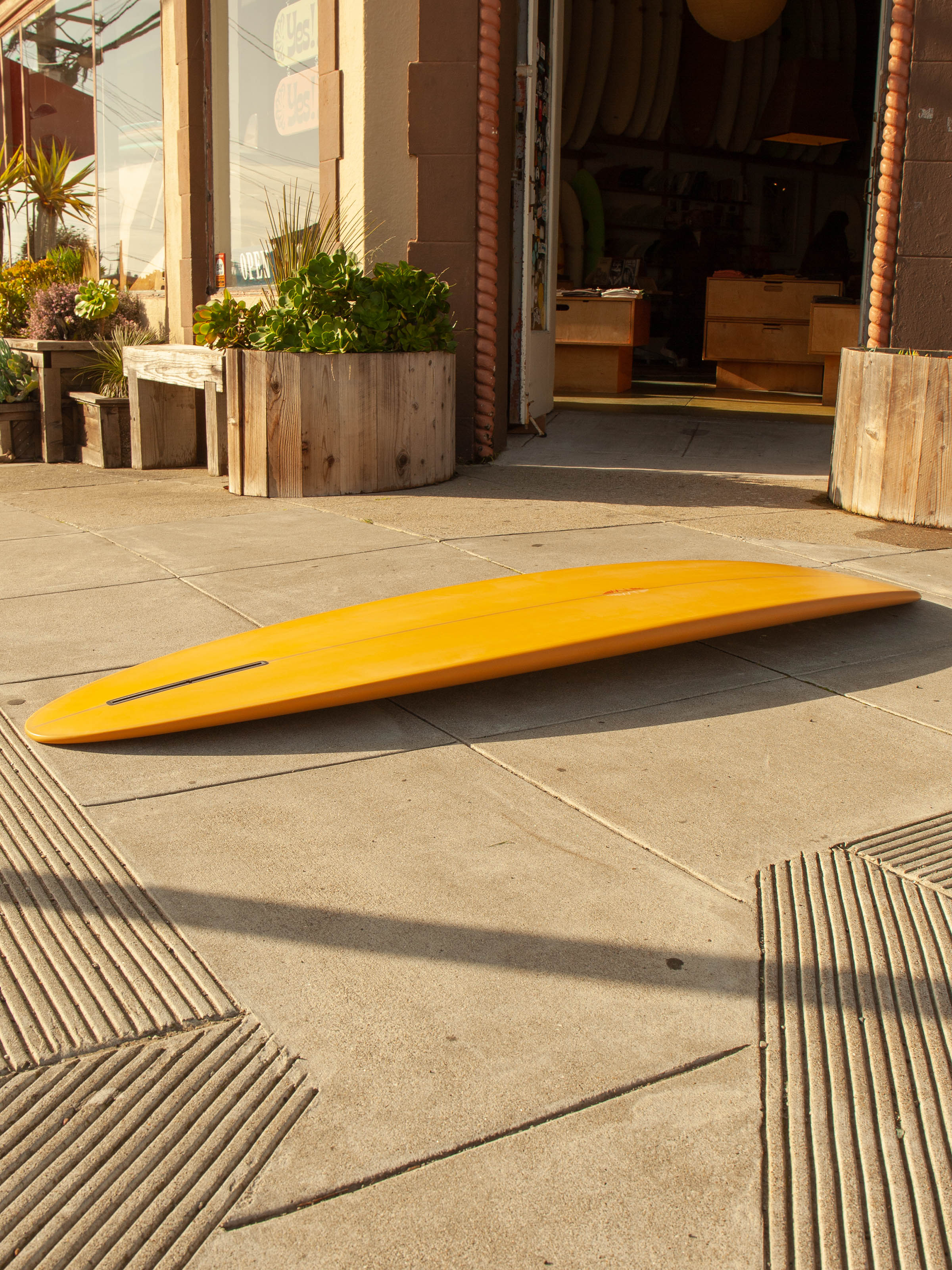 6'6 Tyler Warren Single Speed Egg - Mollusk Surf Shop