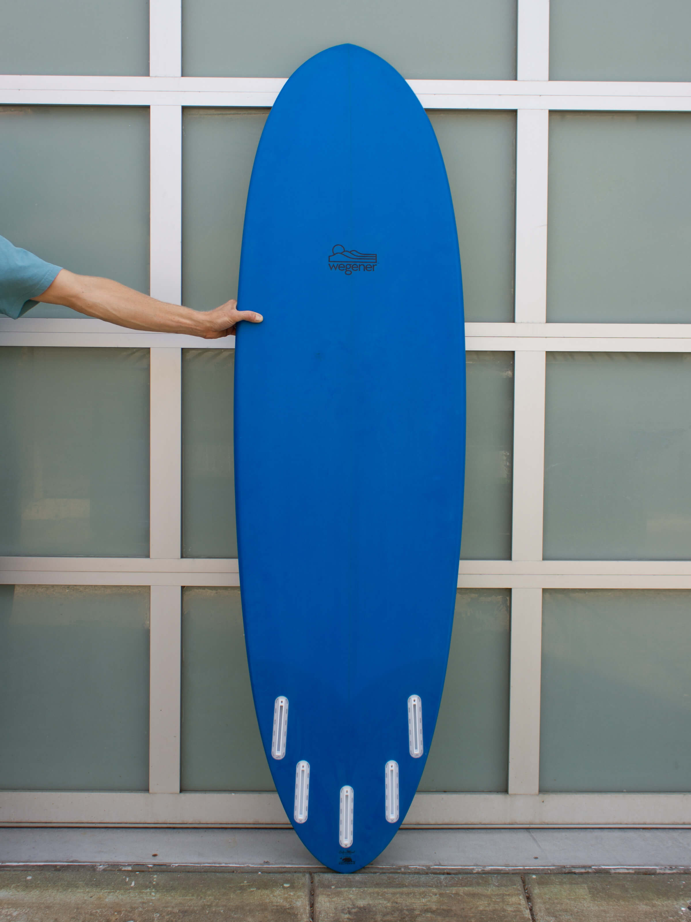6'6 Wegener Dynamo - Mollusk Surf Shop