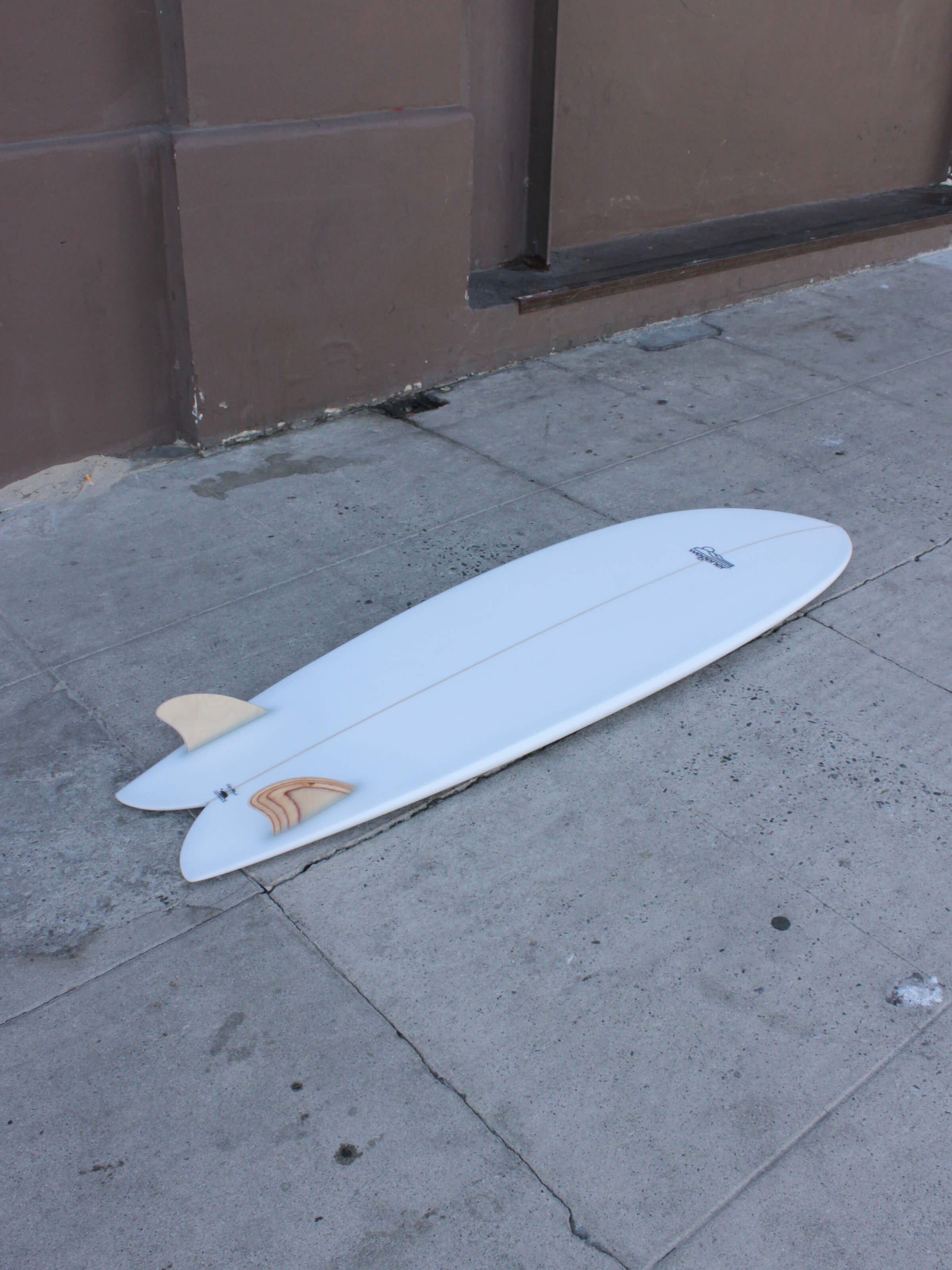 6'6 Wegener Fish - Mollusk Surf Shop