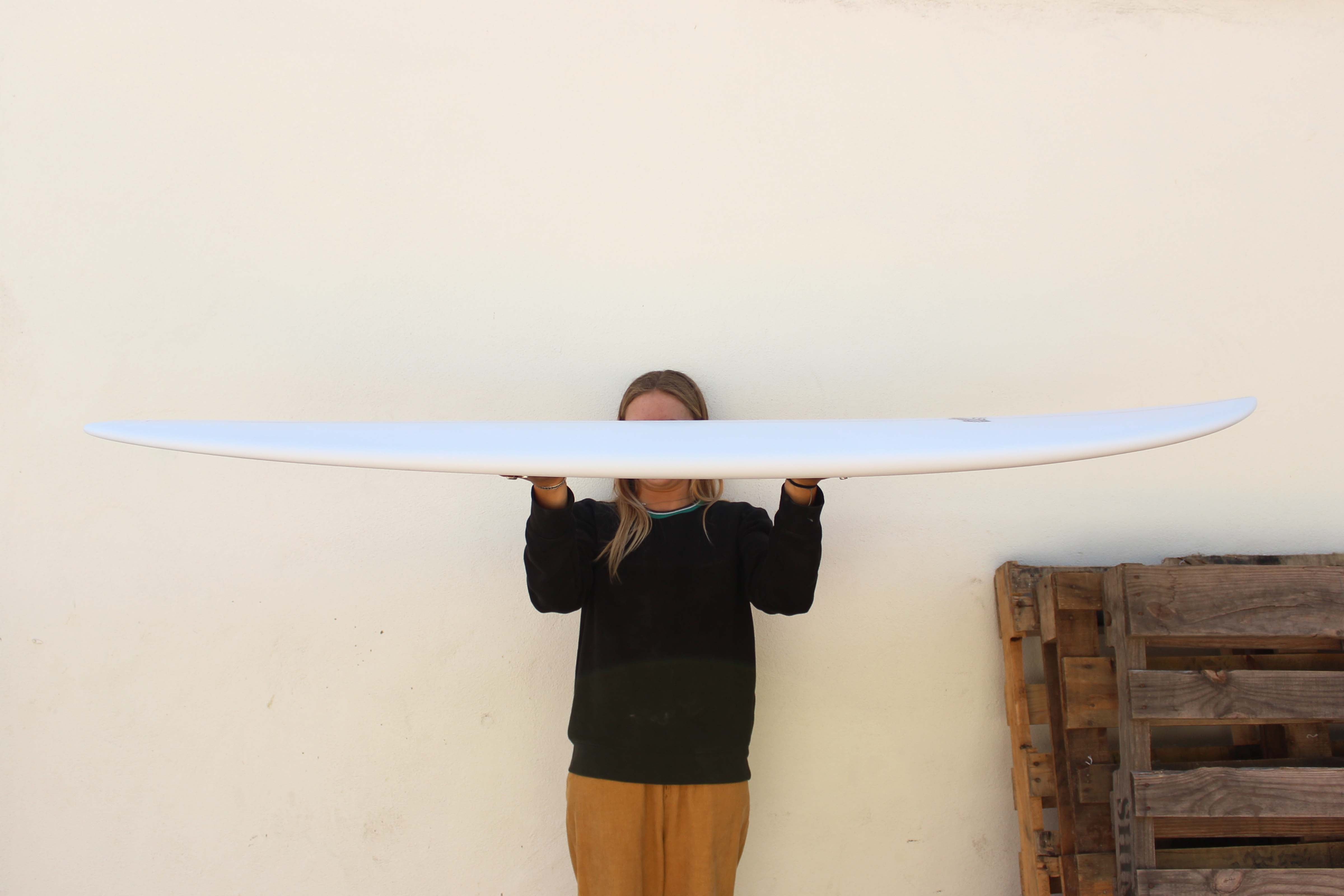 6'6 Wegener Wegg - Mollusk Surf Shop