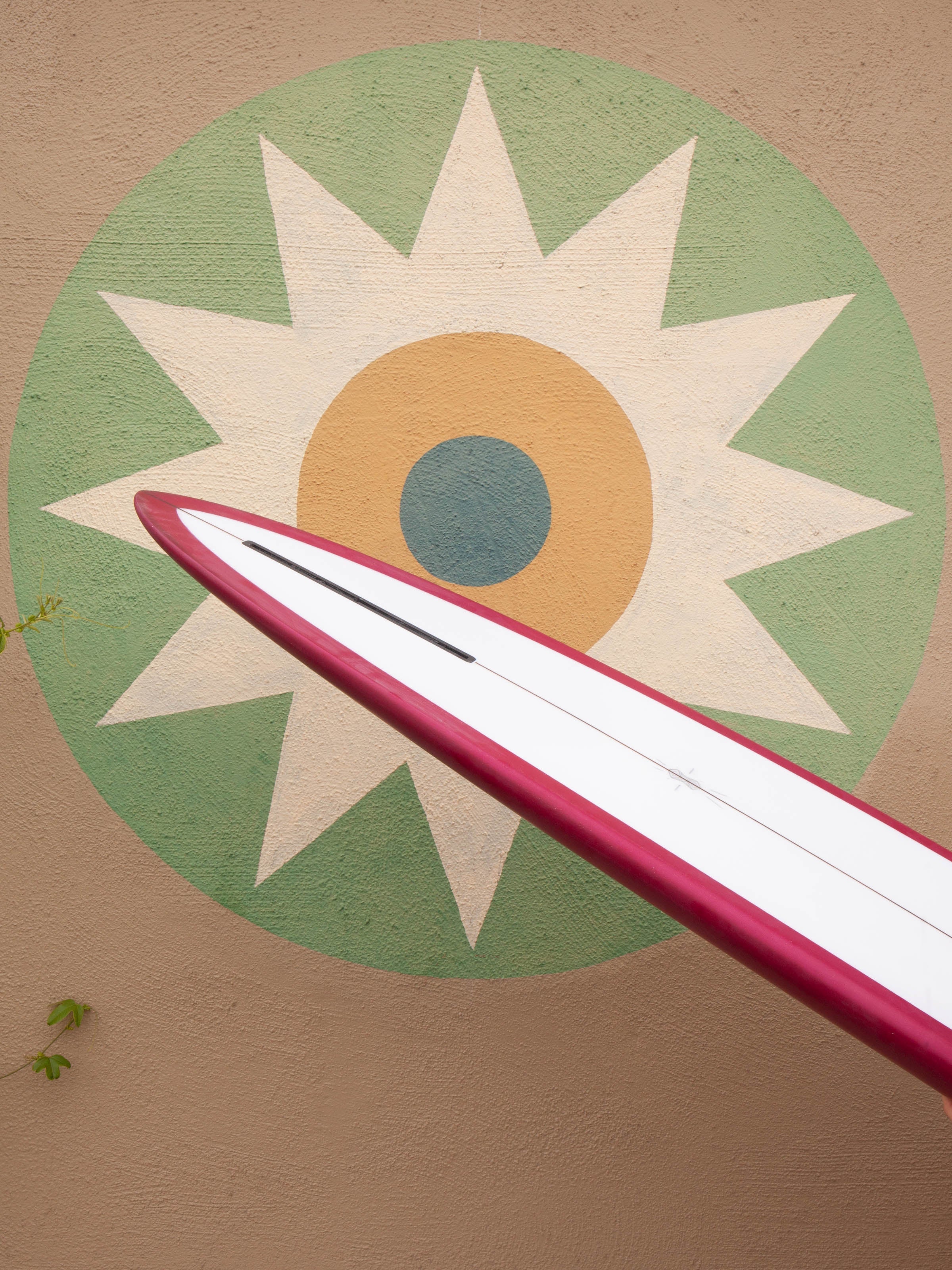 6'7 Alex Lopez Single Fin - Mollusk Surf Shop - description