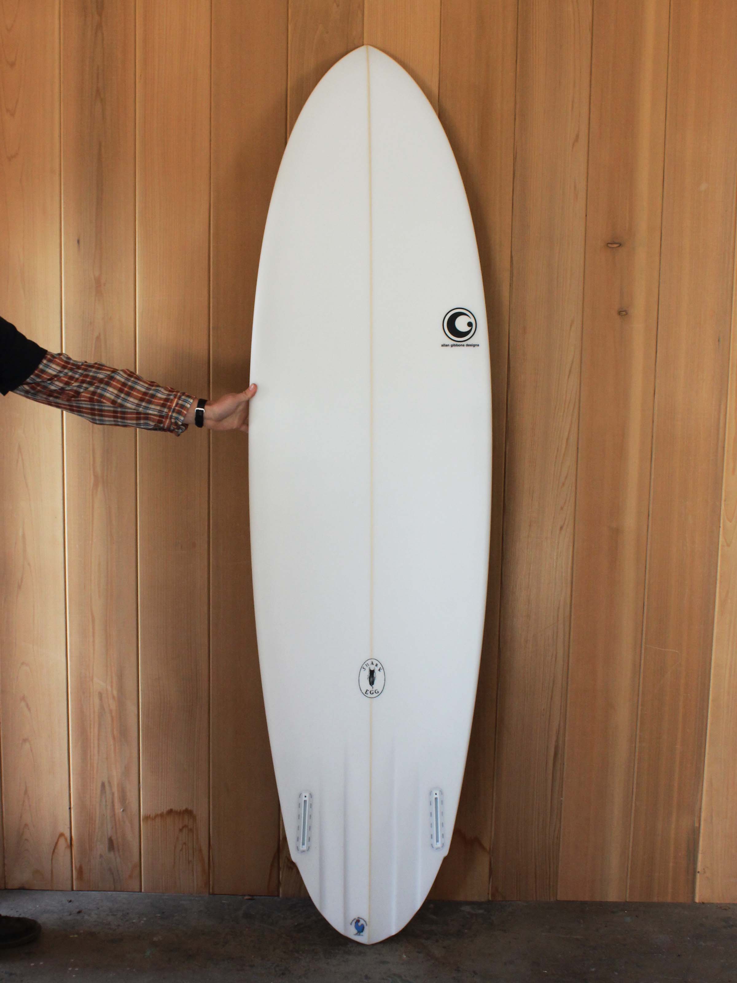 6'8 Allan Gibbons Shark Egg Twin - Mollusk Surf Shop