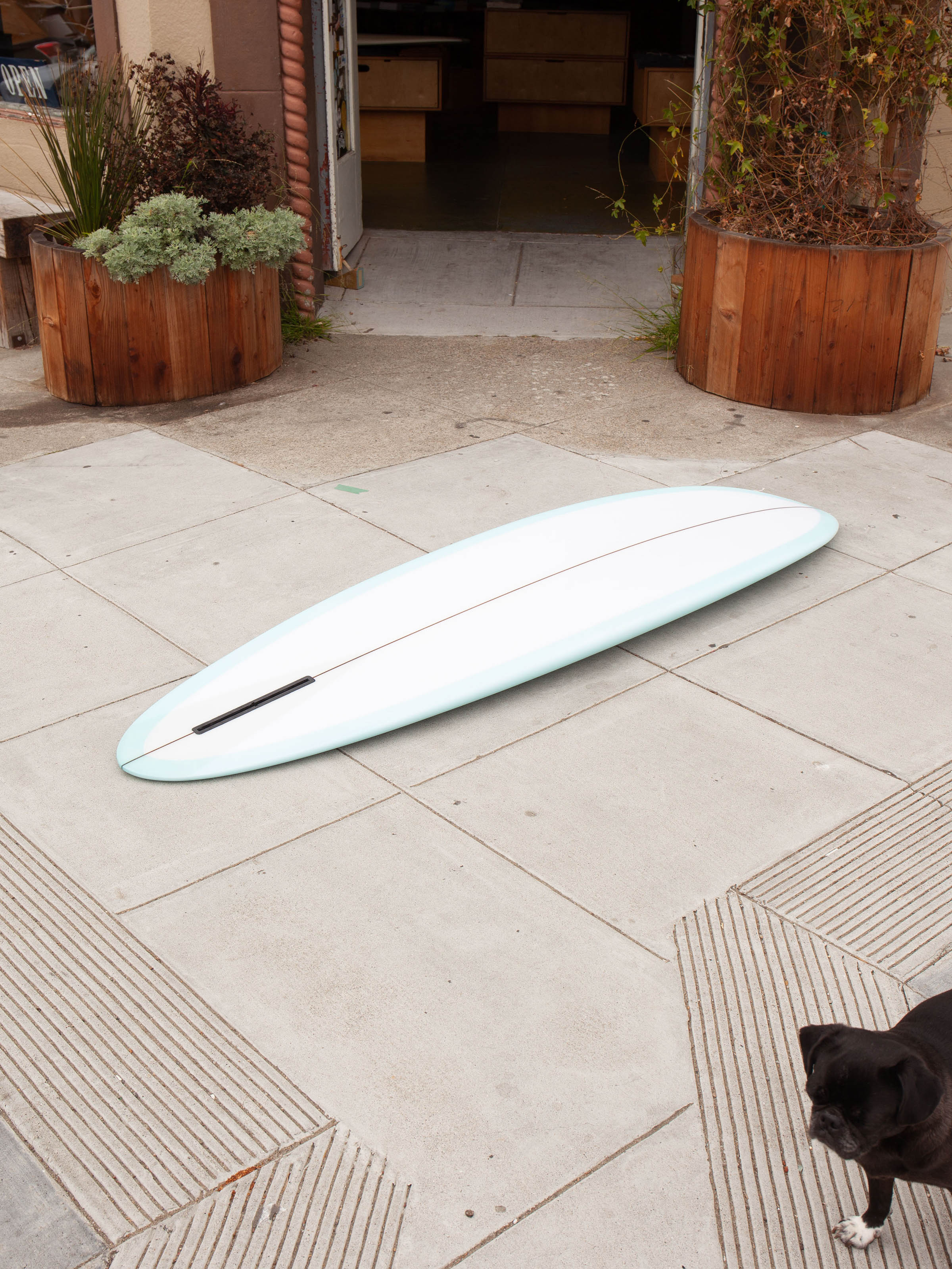 6'8 Grant Noble Homesick - Mollusk Surf Shop