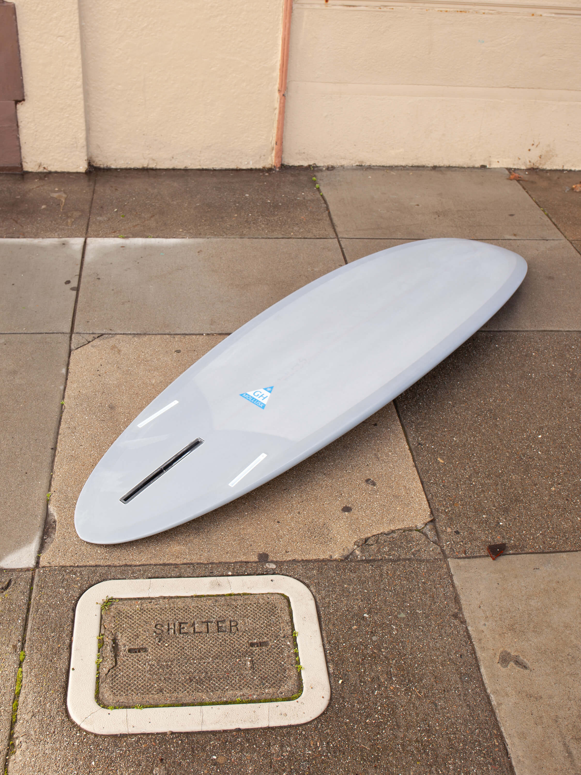 6'8 Hanel Egg 2+1 - Mollusk Surf Shop