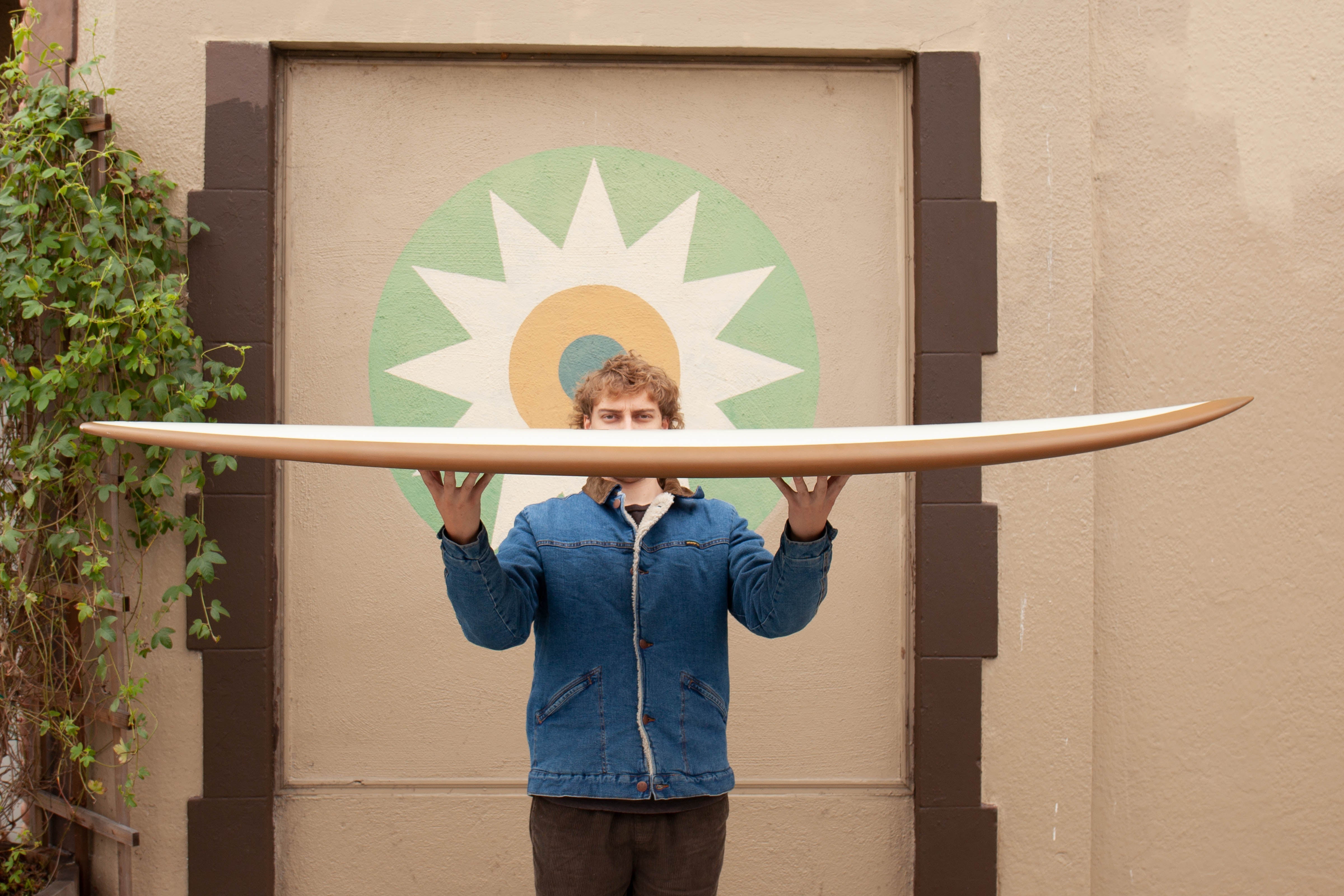 6'8 Tyler Warren Twin Pin - Mollusk Surf Shop