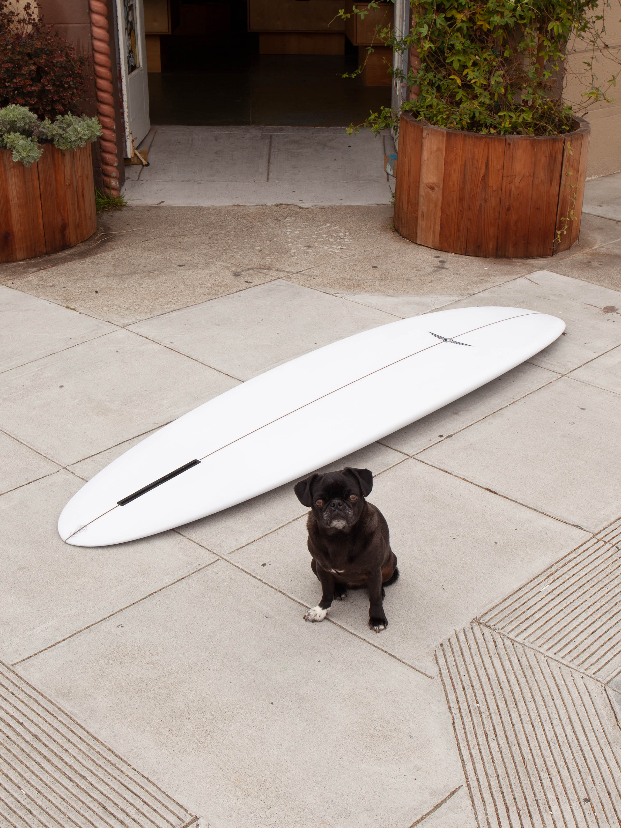 7'0 Allan Gibbons Egg - Mollusk Surf Shop