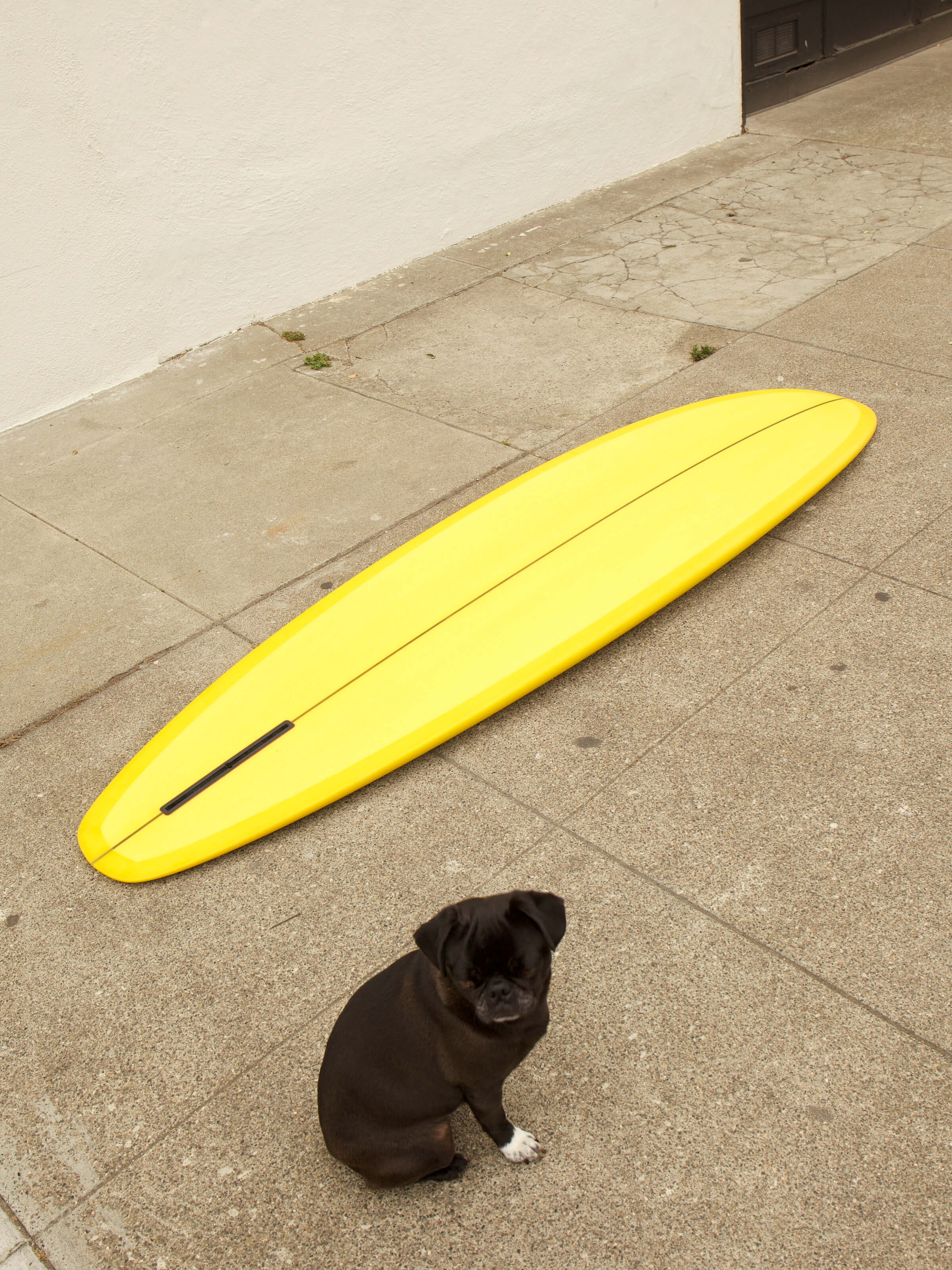 7'0 Elmore Pusher - Mollusk Surf Shop