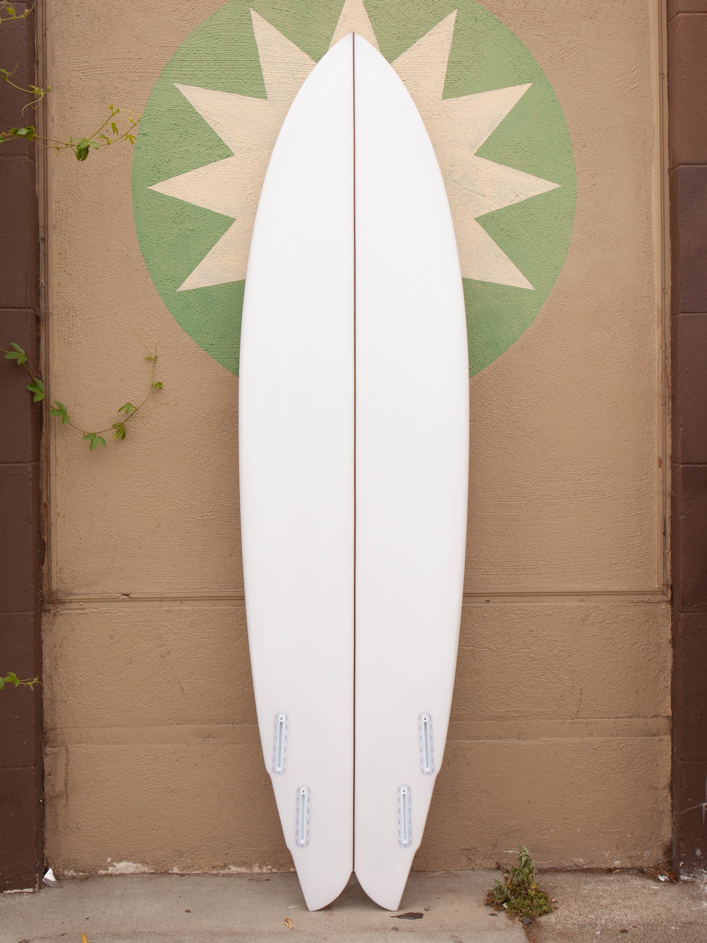 7'0 Rainbow Quad - Mollusk Surf Shop