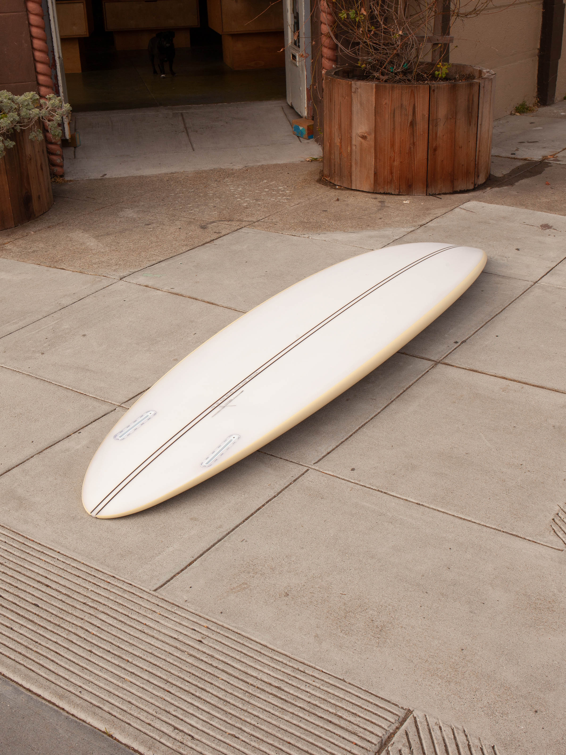 7'0 Son of Cobra Mid Twin - Mollusk Surf Shop