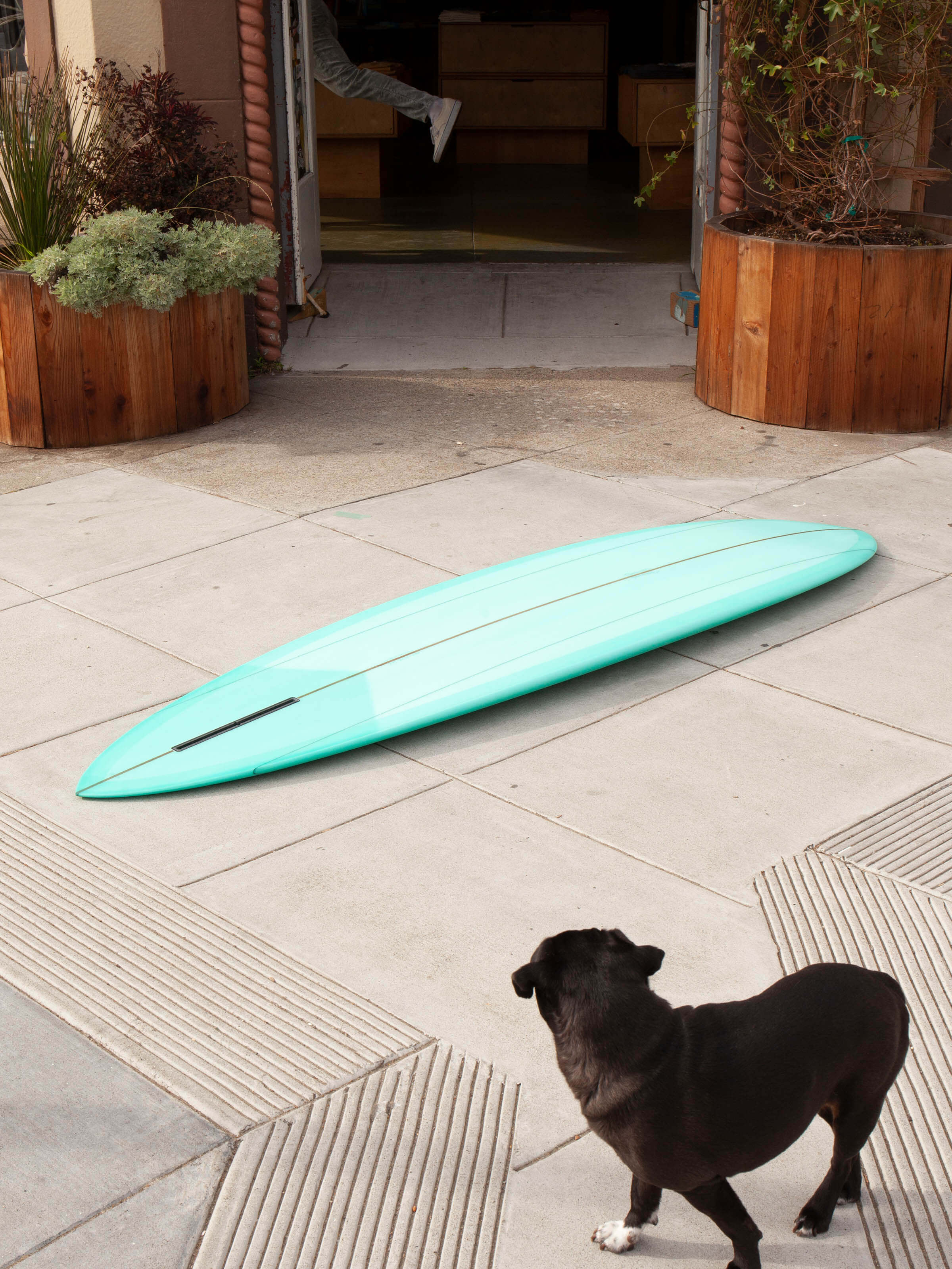 7'0 Travis Reynolds Stone Fruit - Mollusk Surf Shop