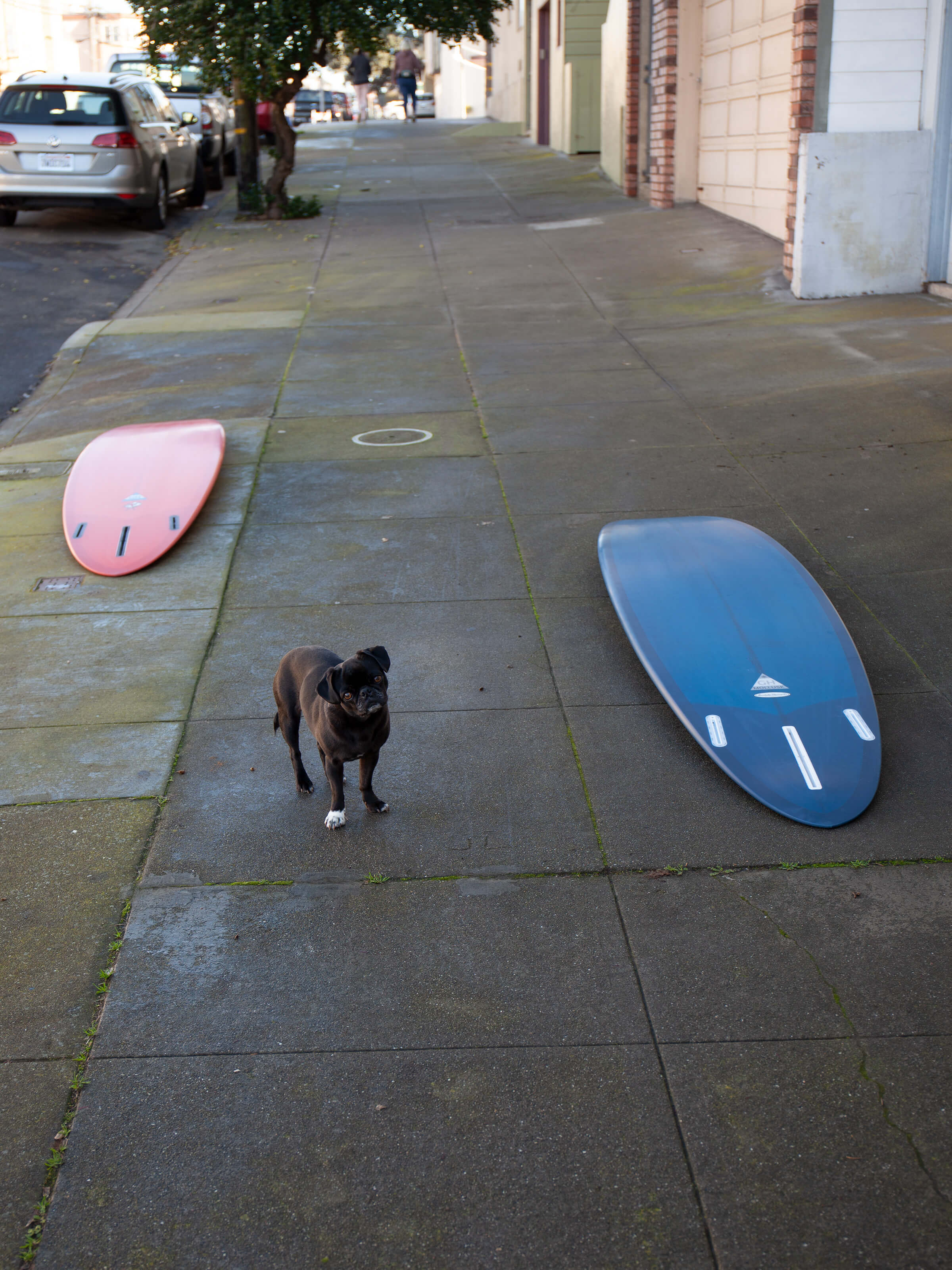 7'10 Hanel Egg - Mollusk Surf Shop