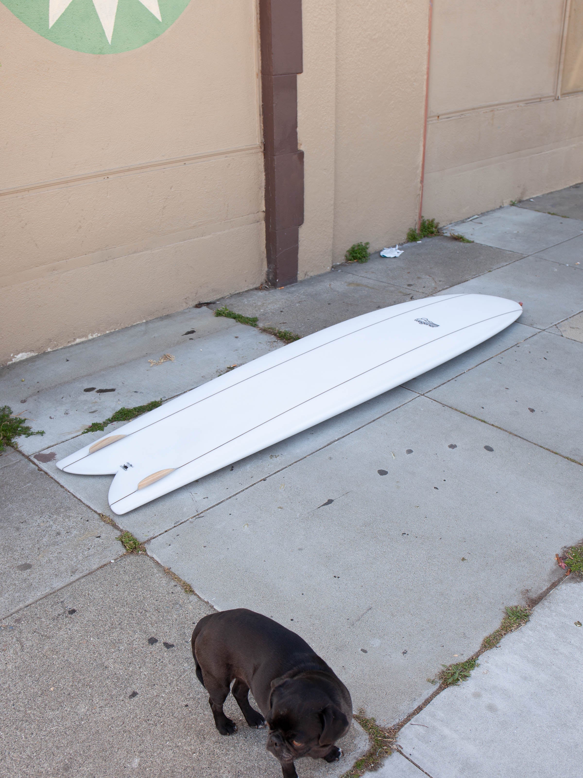7'10 Wegener Bluegill - Mollusk Surf Shop