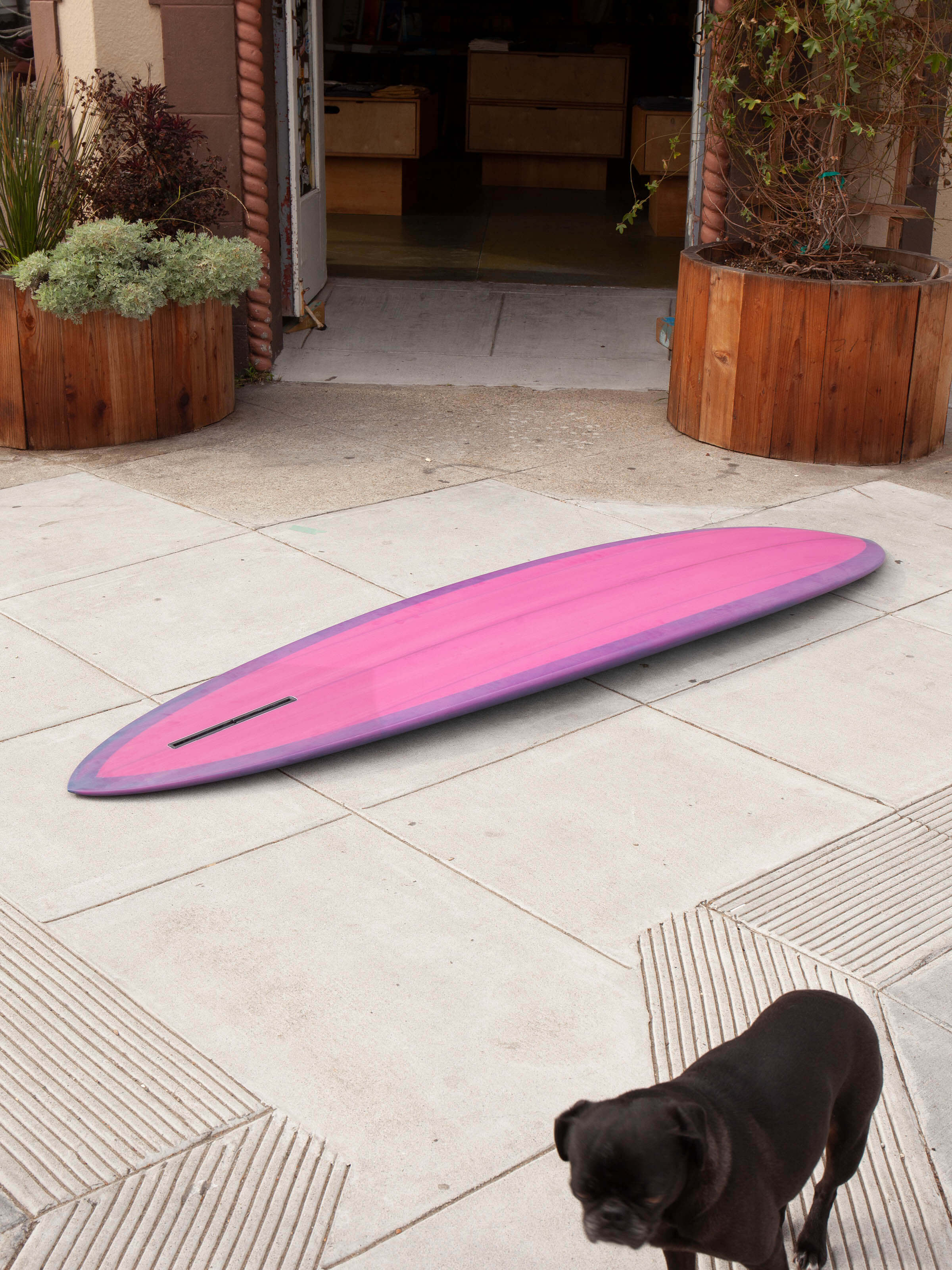 7'3 Travis Reynolds Stone Fruit - Mollusk Surf Shop