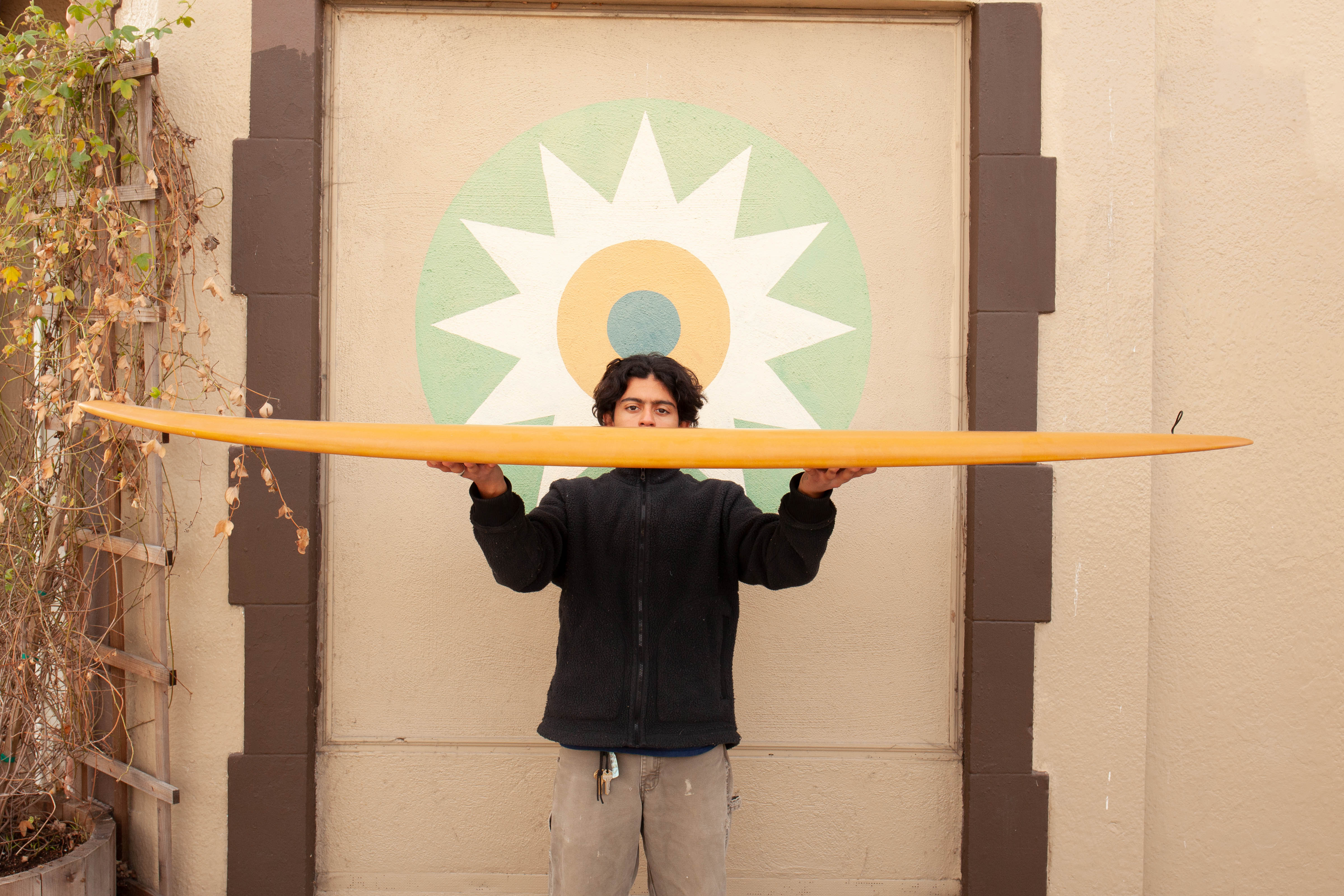 7'4 Alex Lopez Single Fin - Mollusk Surf Shop