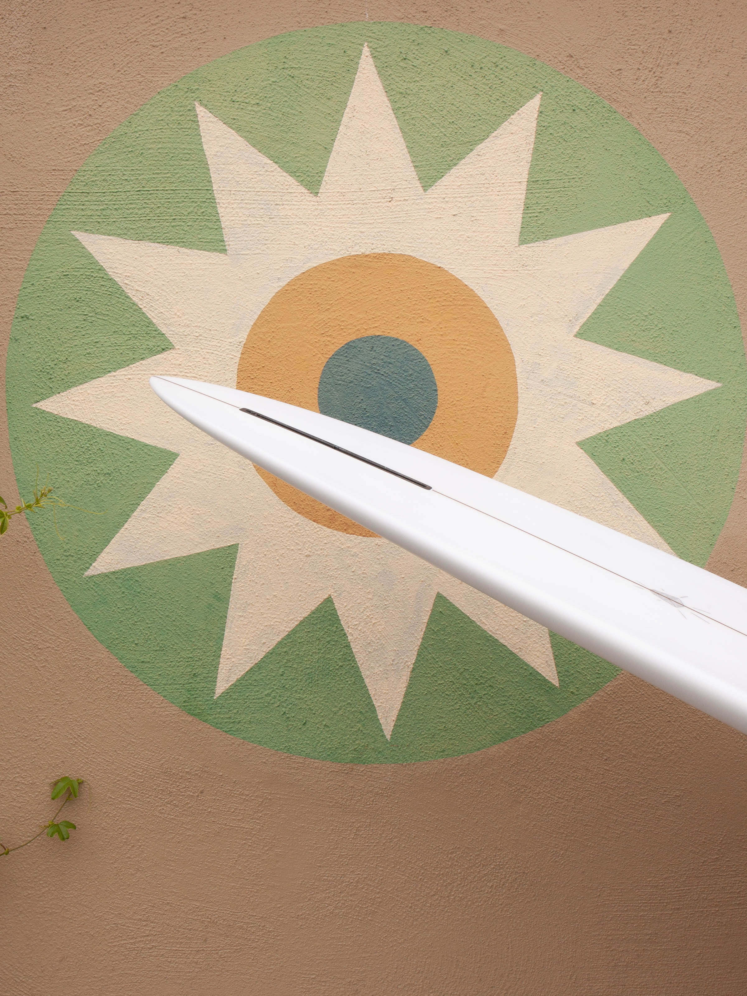 7'4 Alex Lopez Terrapin - Mollusk Surf Shop - description