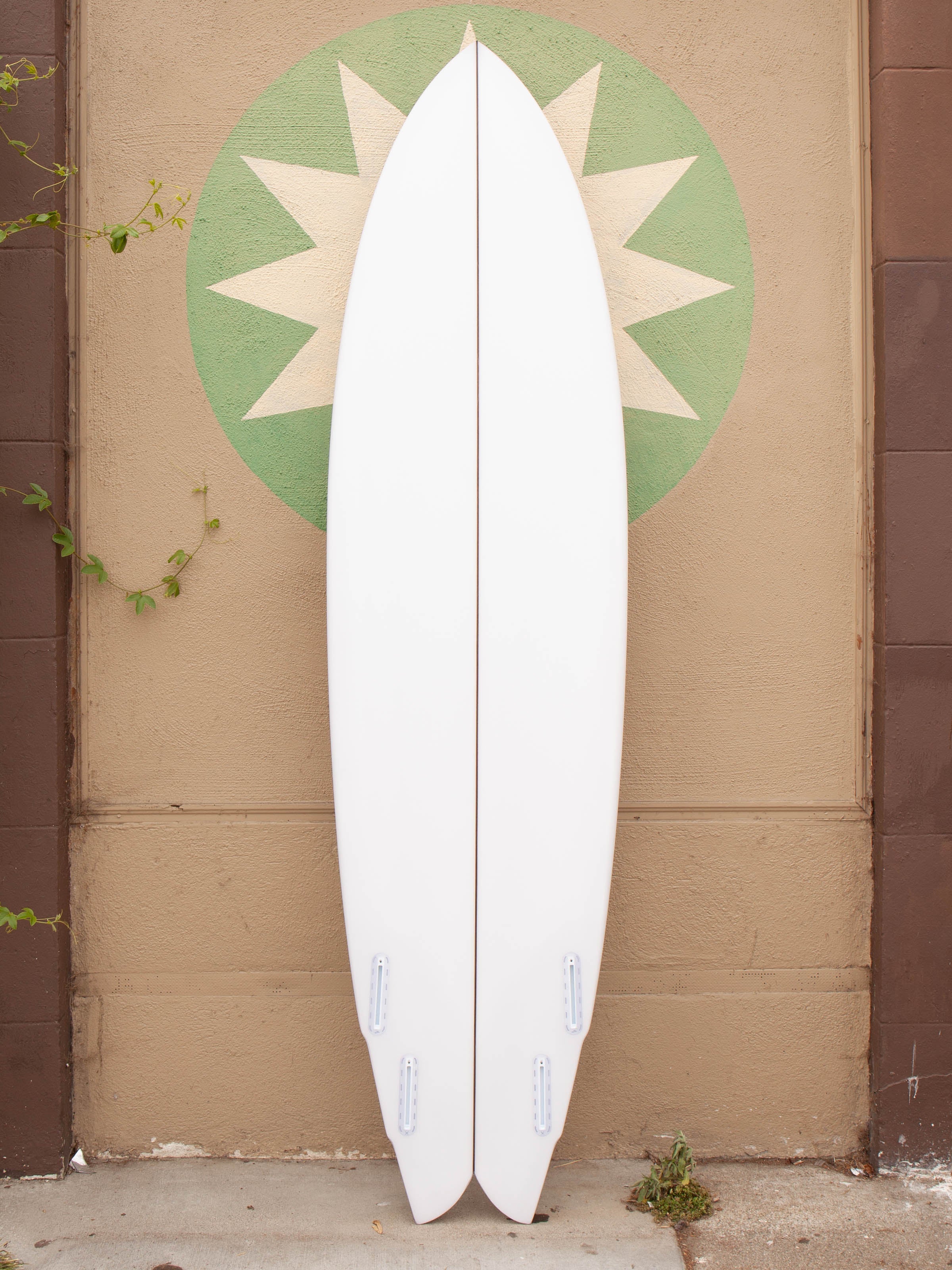 7'4 Rainbow Quad - Mollusk Surf Shop