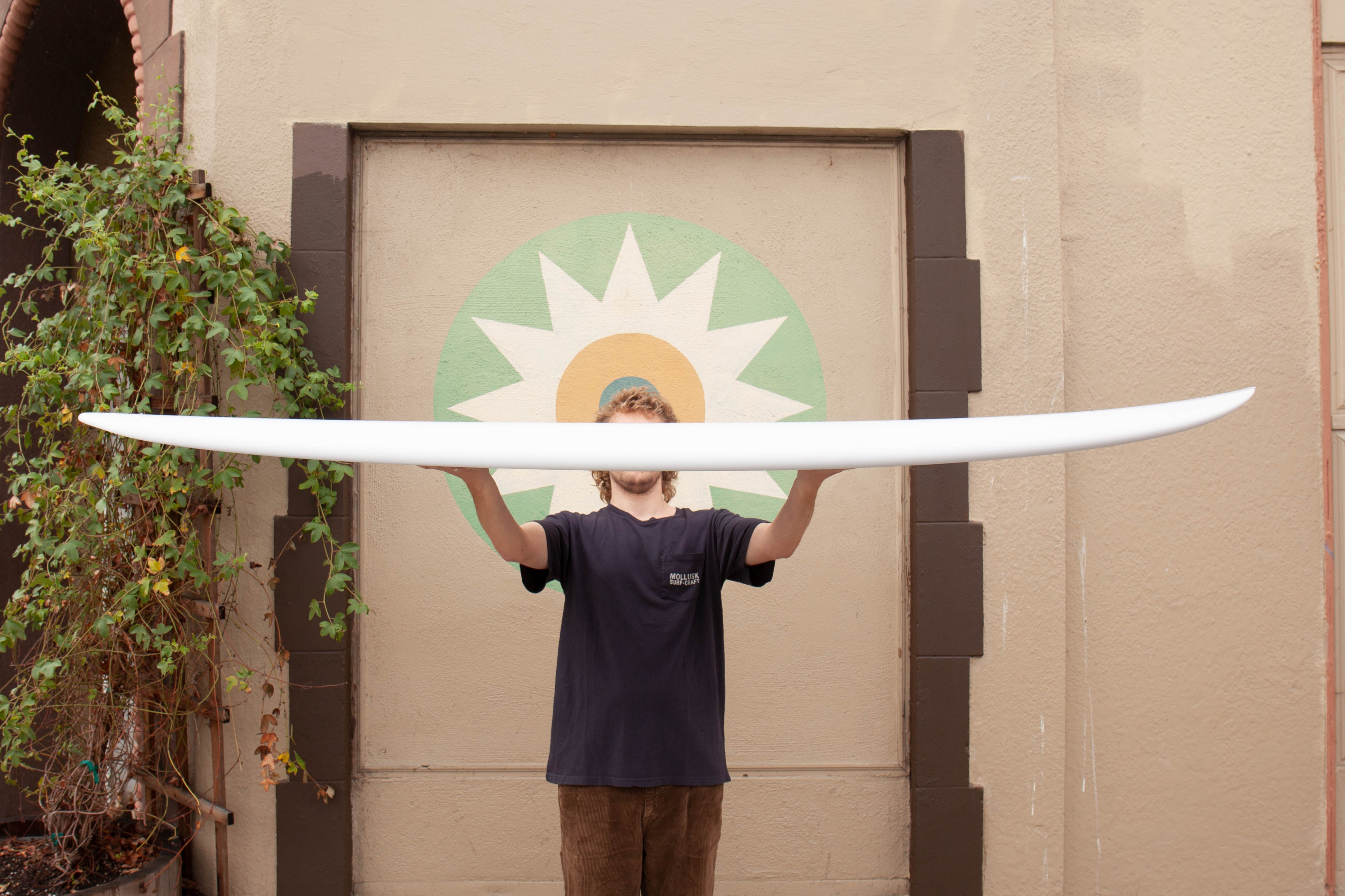 7'4 Son of Cobra Mid Twin - Mollusk Surf Shop