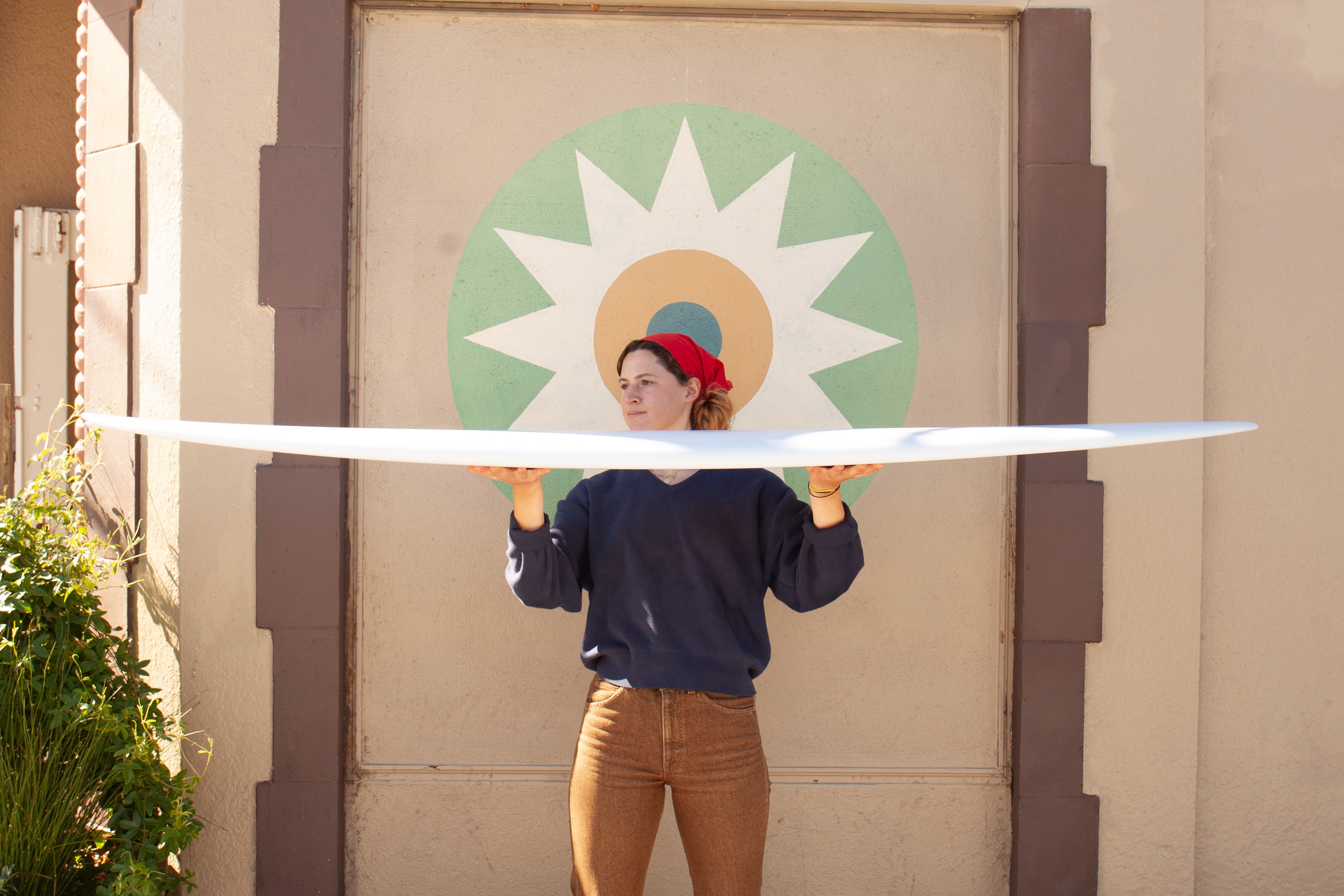 7'4 Weston Egg - Mollusk Surf Shop