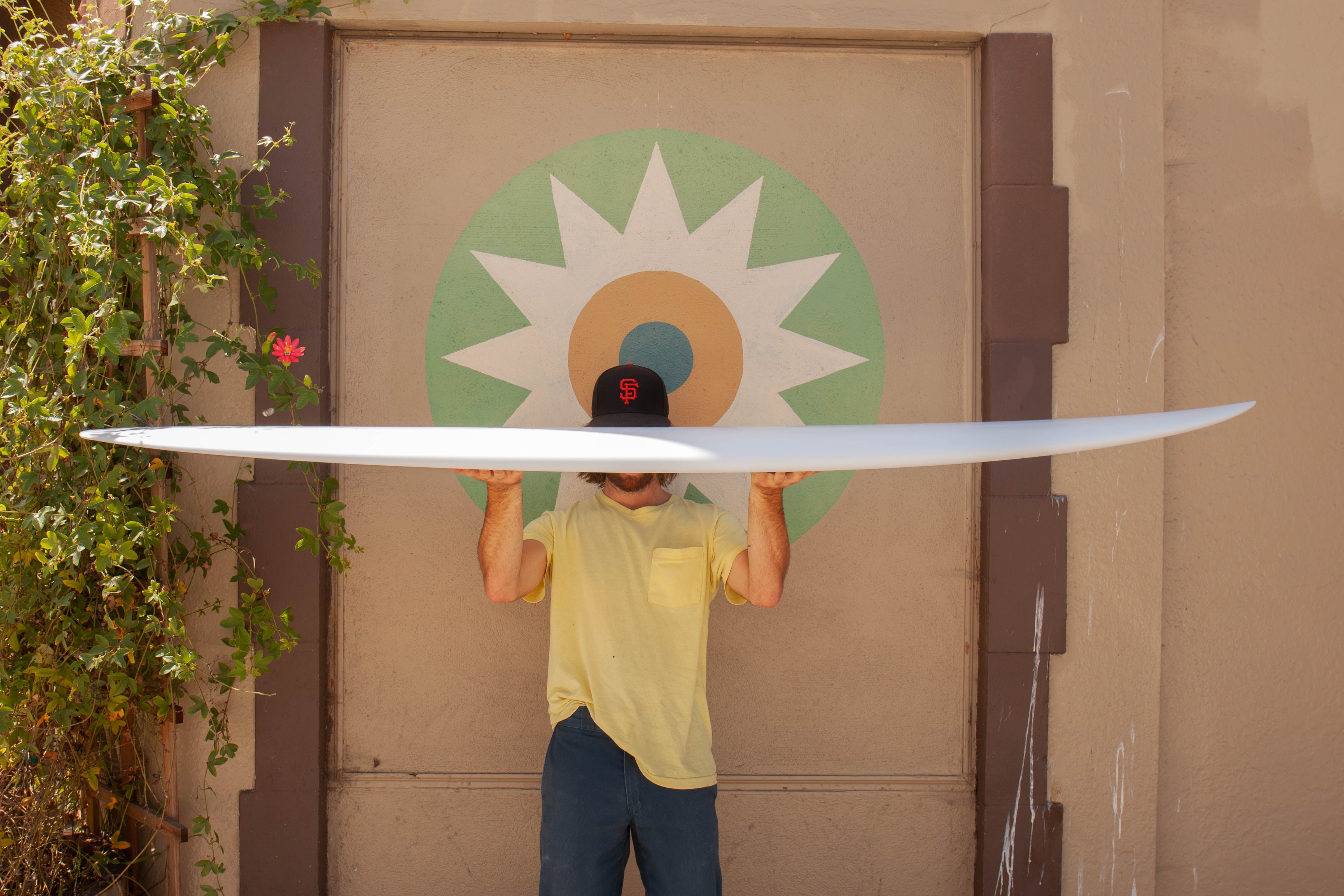 7'6 Arenal Gateway - Mollusk Surf Shop