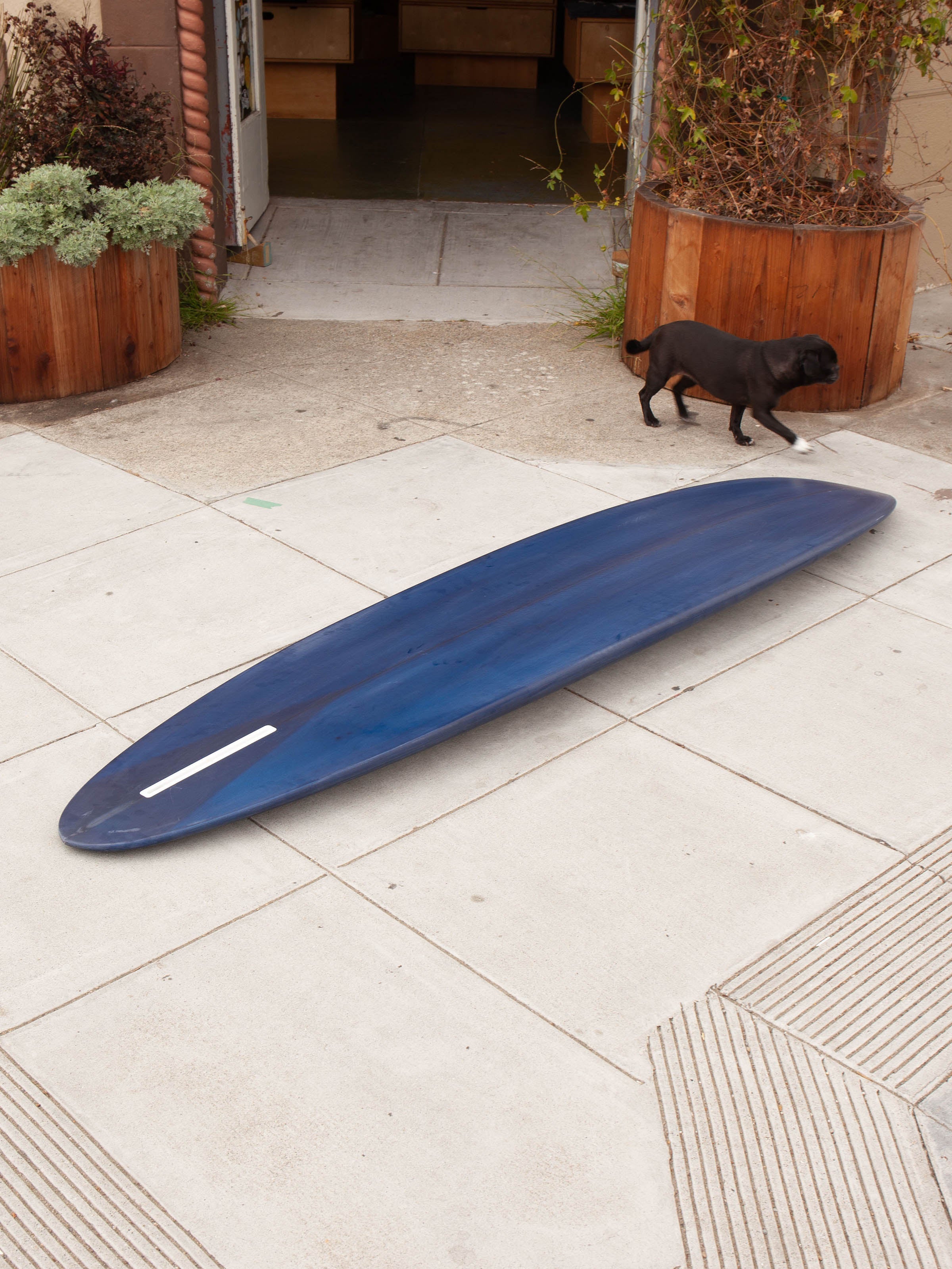 7'6 Grant Noble Homesick - Mollusk Surf Shop
