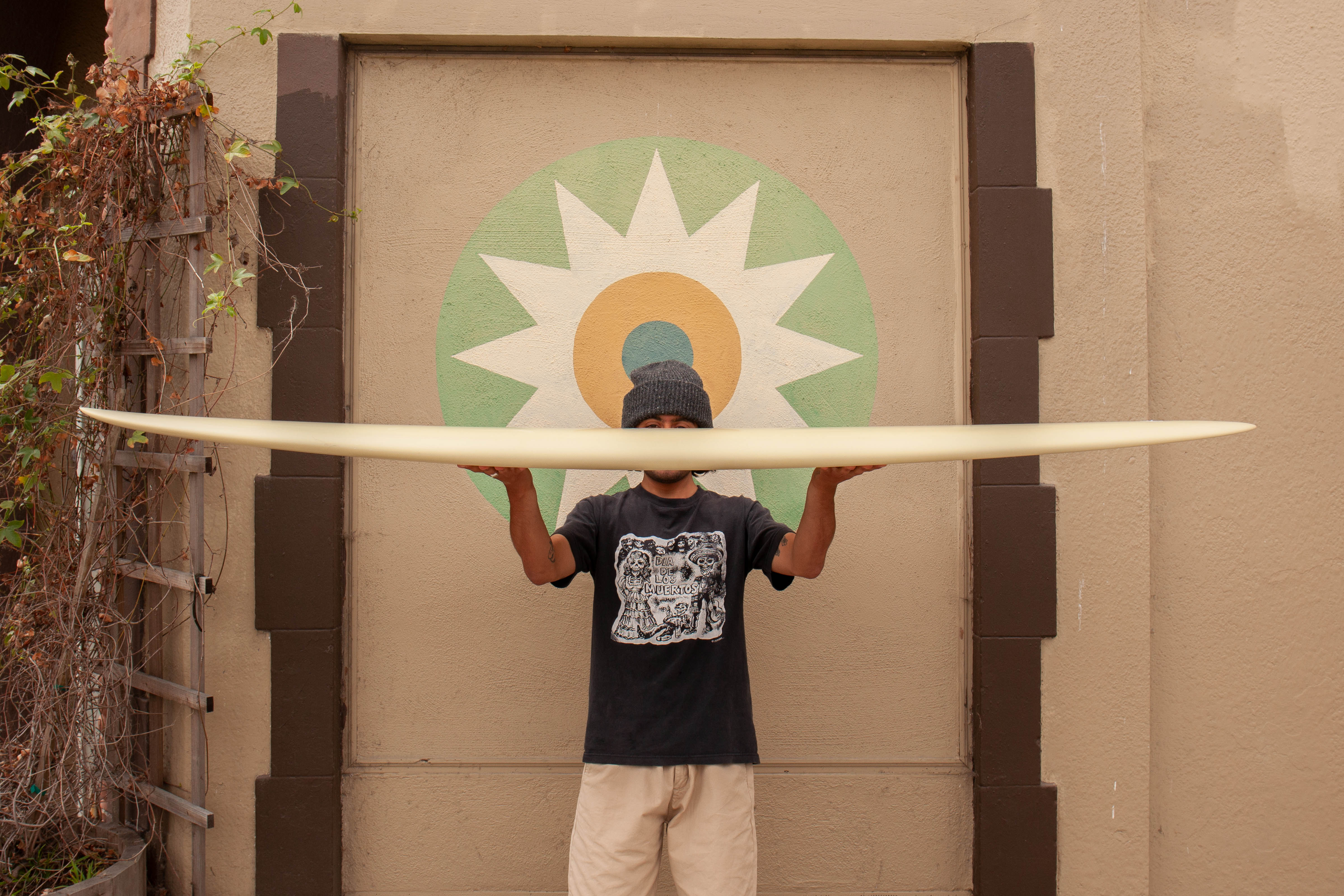 7'6 Jupiter Mini Glider - Mollusk Surf Shop