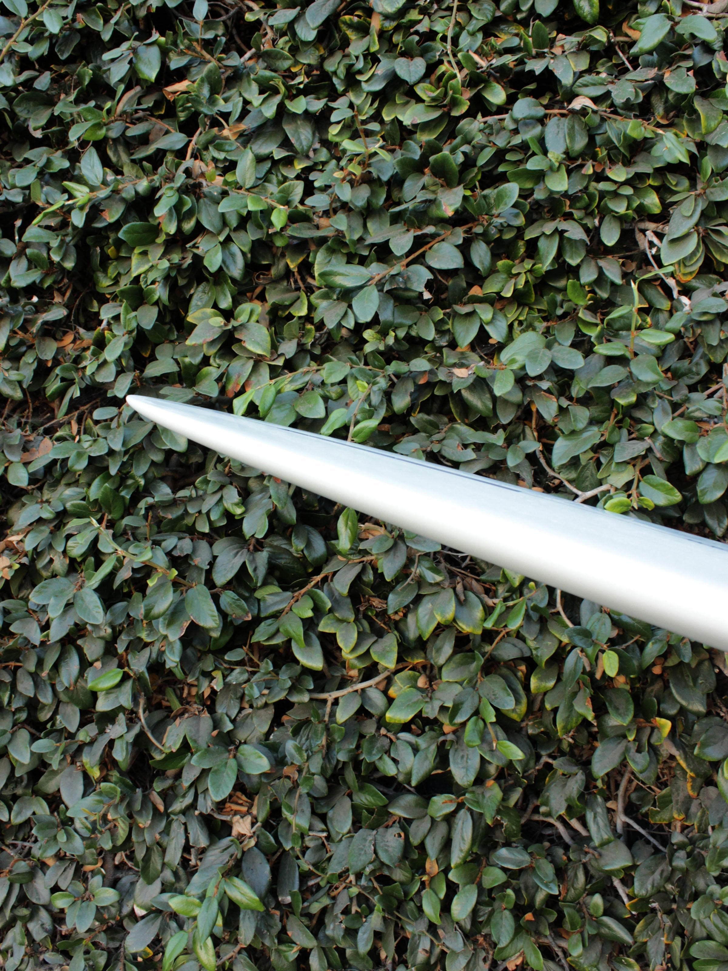 7'6 MPE P40 - Mollusk Surf Shop - description