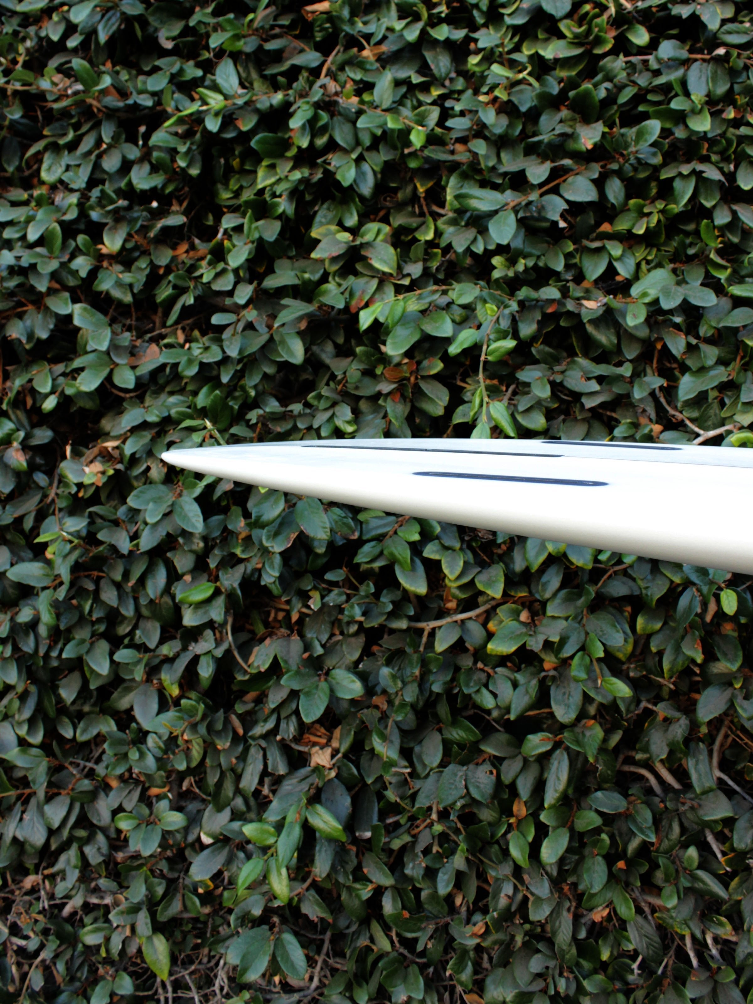 7'6 Radio ButterBlade - Mollusk Surf Shop - description